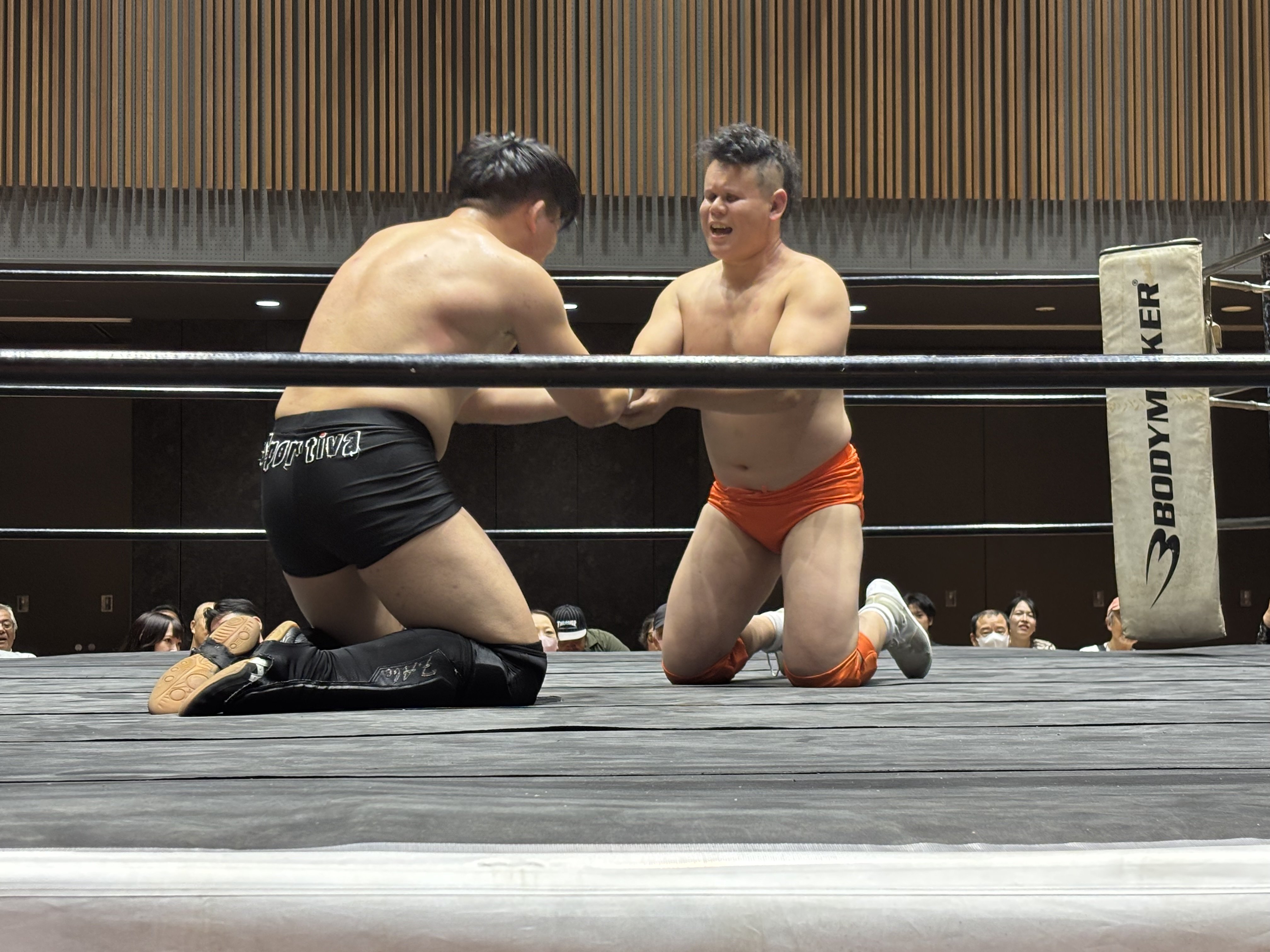 プロレスラー 週刊プロレスNo.2342 (2025年2月26日号／2月12日発売) | 週刊プロレス