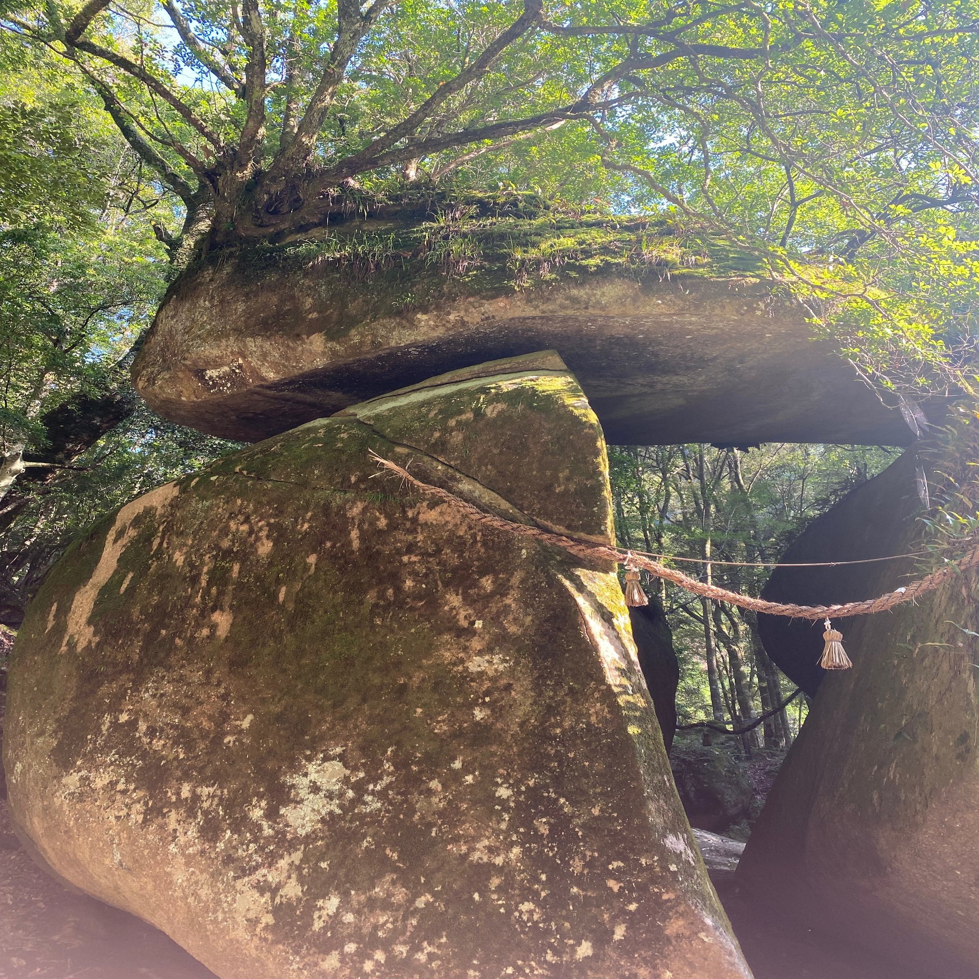 あめつちの心を感じる、愛媛県松野町・森の国Valleyでの3泊4日｜ふるさとLIFE CAMPUS｜ふるさとの余白から、つくりたい未来を“そうぞう”する