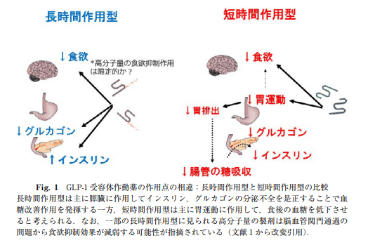 糖尿病専門医研修ガイドブック第9版について思うところ｜rakuda