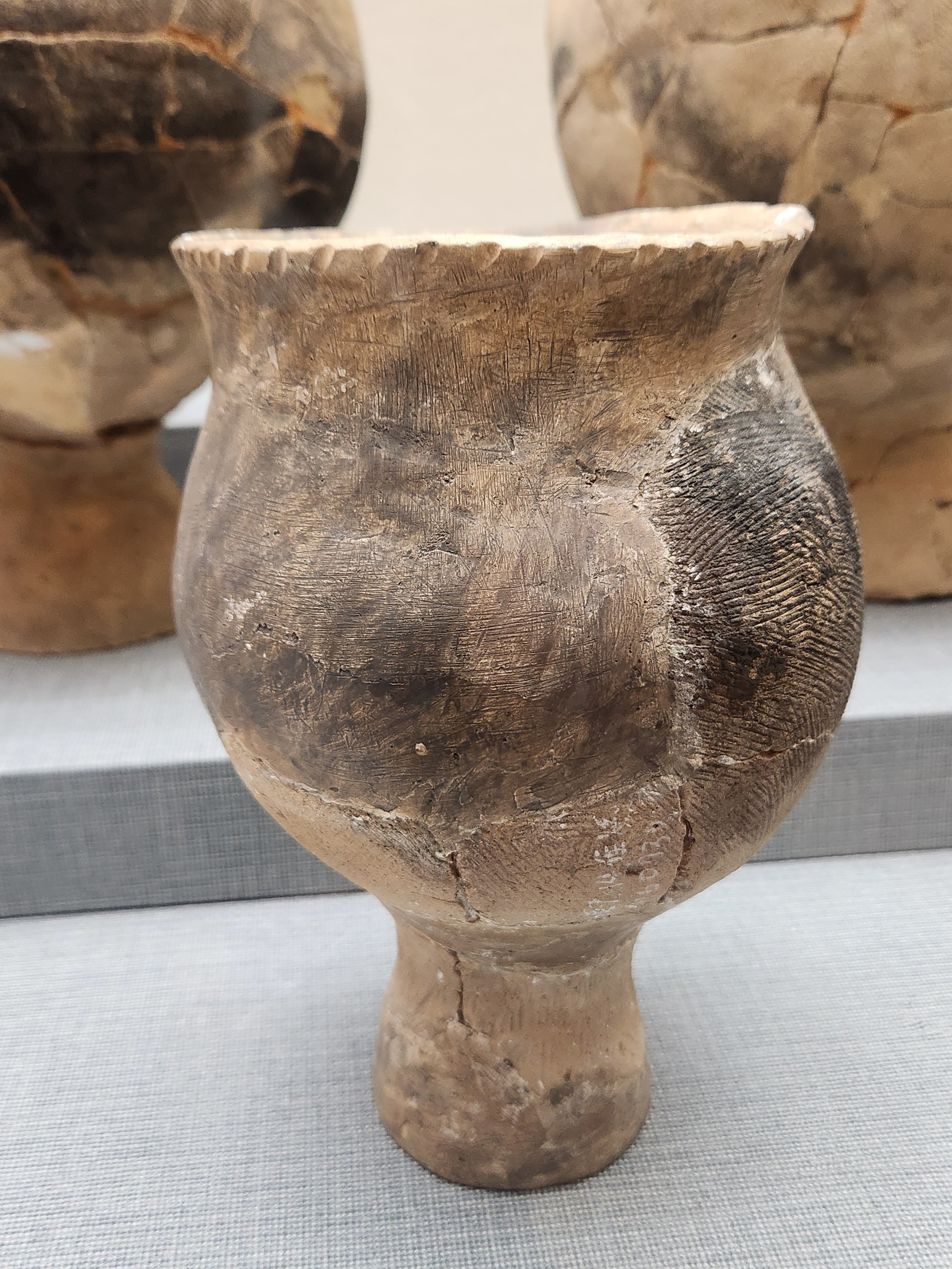 紀元2世紀の浜松を考える 第5回『天竜川扇状地の開発』を聴講して