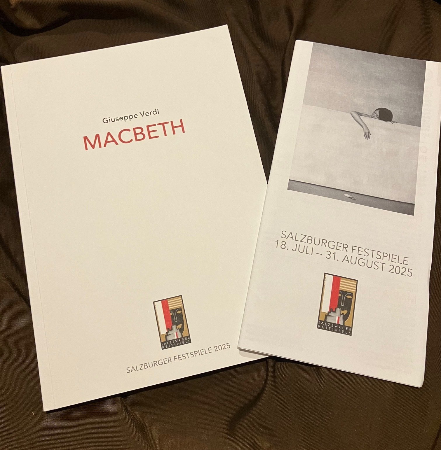 ザルツブルク音楽祭2025に行ってきました｜アーツラボオーパス