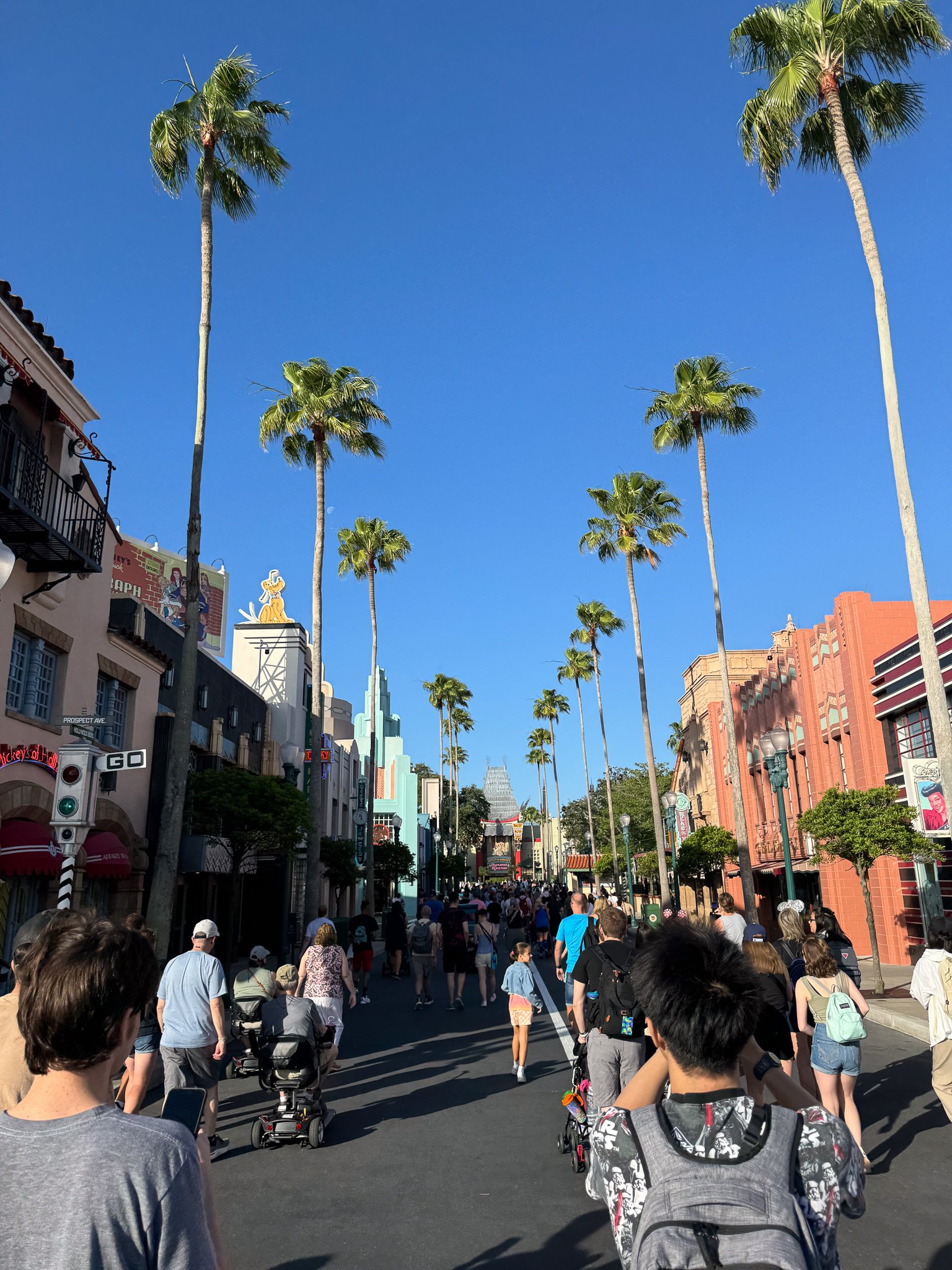 新婚旅行】海外ディズニーに行った話⑤【WDW】5日目ハリウッド