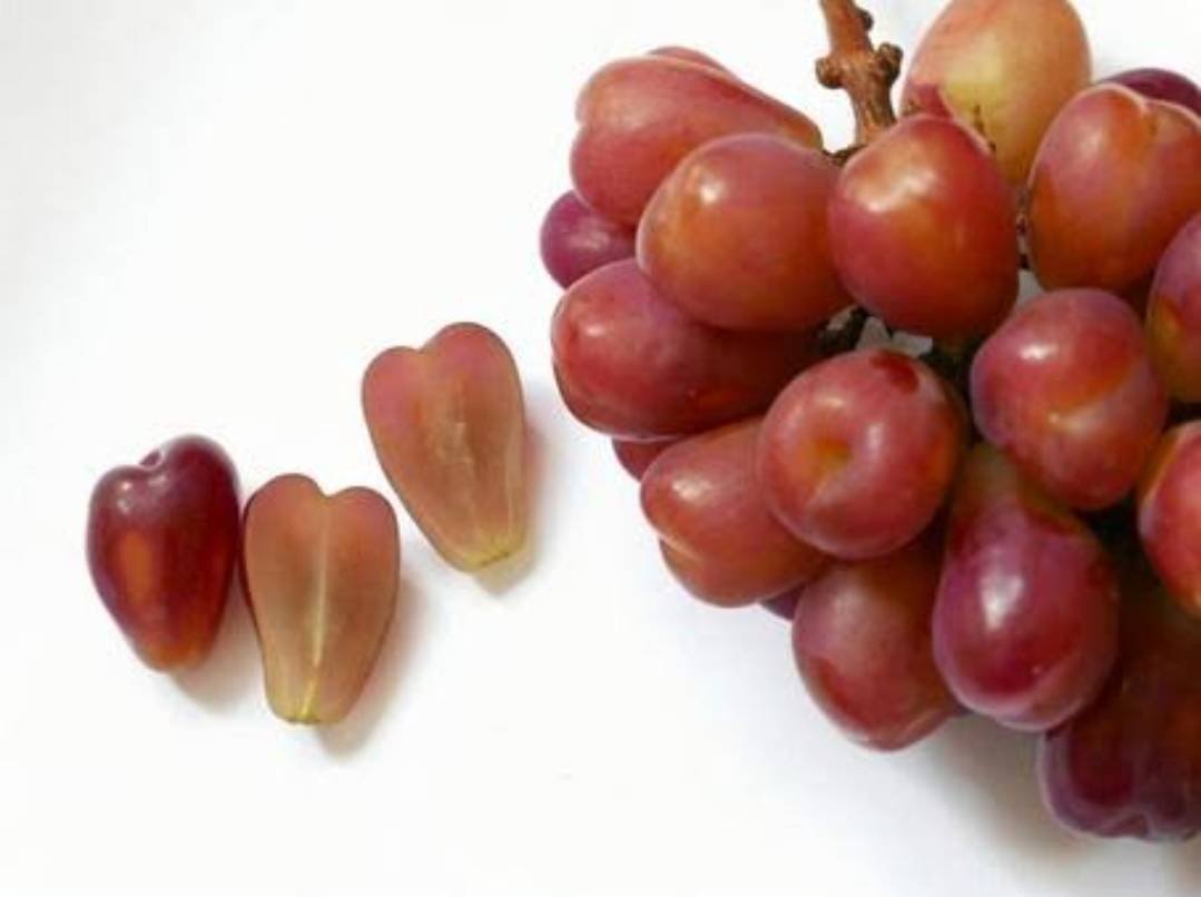 マイハートです。 マイハート❤️