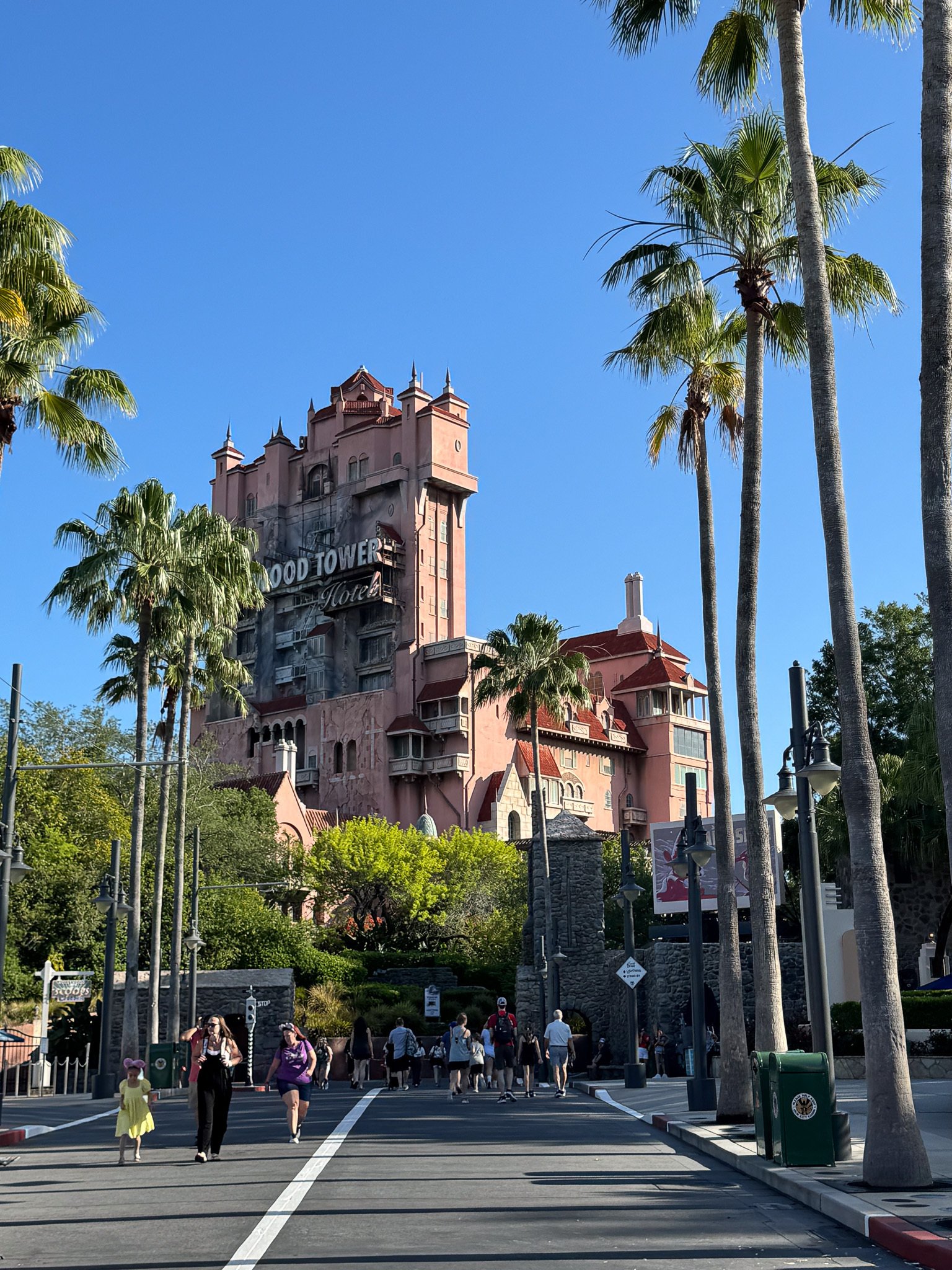 新婚旅行】海外ディズニーに行った話⑤【WDW】5日目ハリウッド