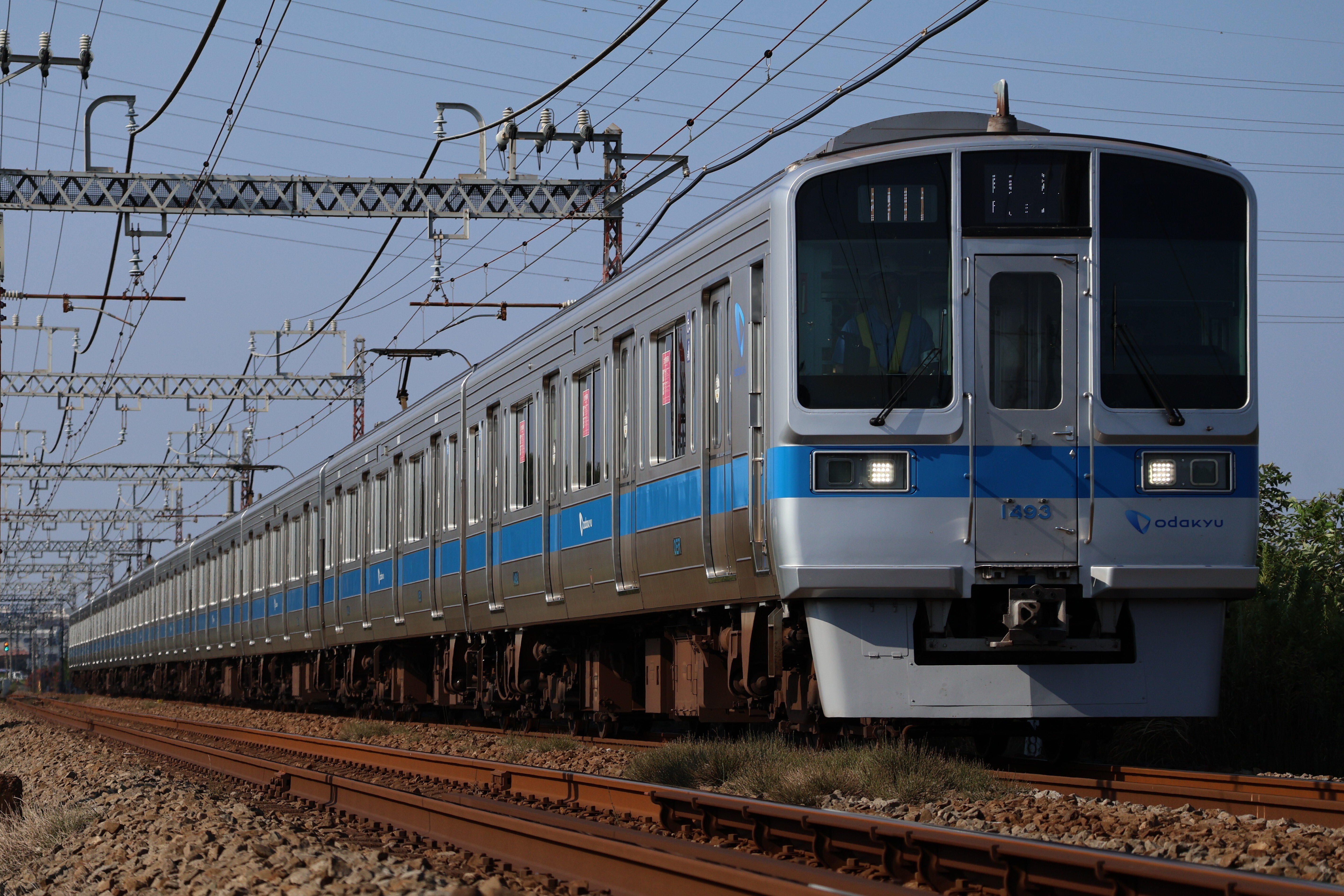 03 シーズン入り前の六会5号 ｜抹茶