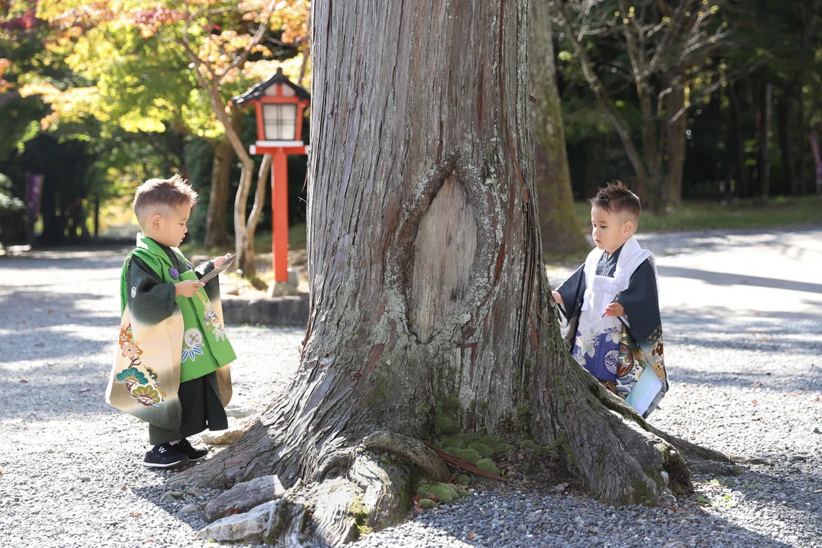 大原野神社 七五三 出張撮影 イマトル やたけえりこ