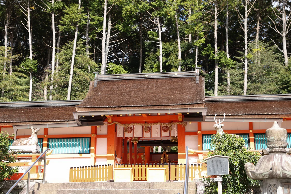大原野神社 七五三 出張撮影 イマトル やたけえりこ