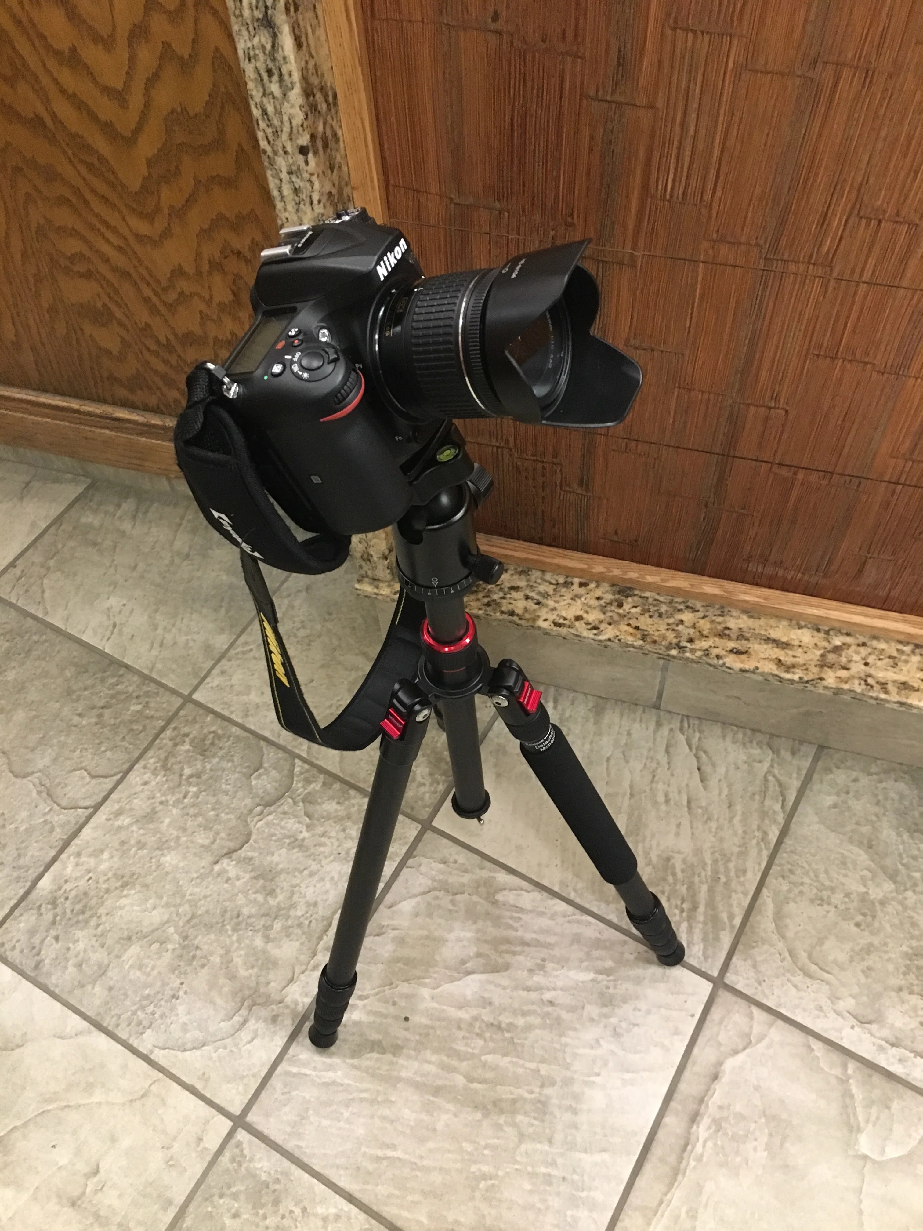 カナダ移住生活、D7200からNikon Z50iiへ｜𝒦𝐸𝒩𝐼𝒞𝐻𝐼