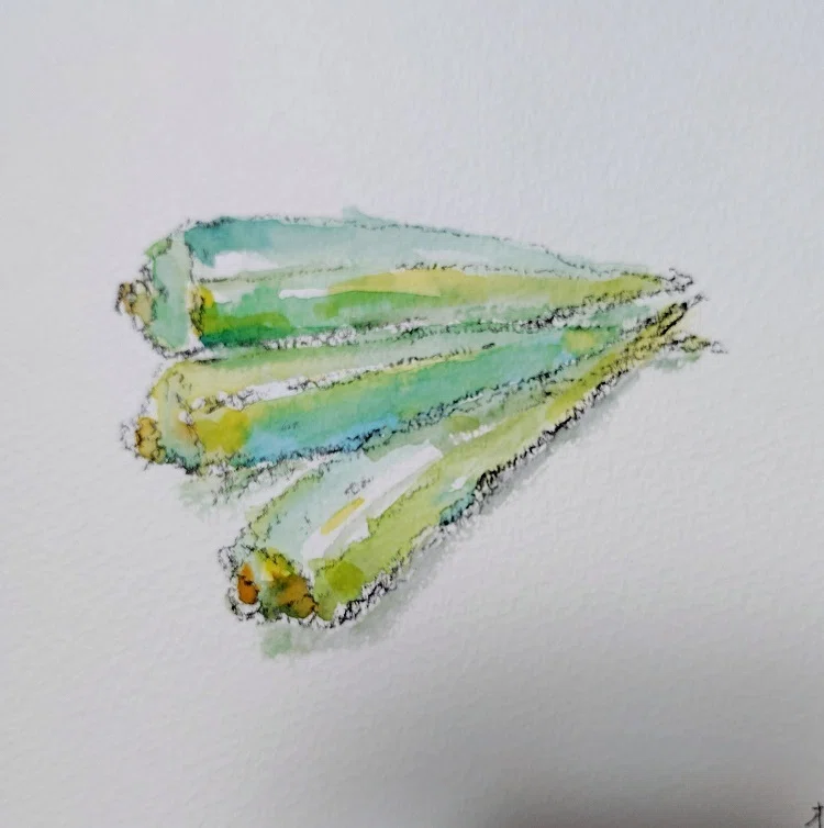 エノコログサとオクラ描いた｜水彩スケッチ帖