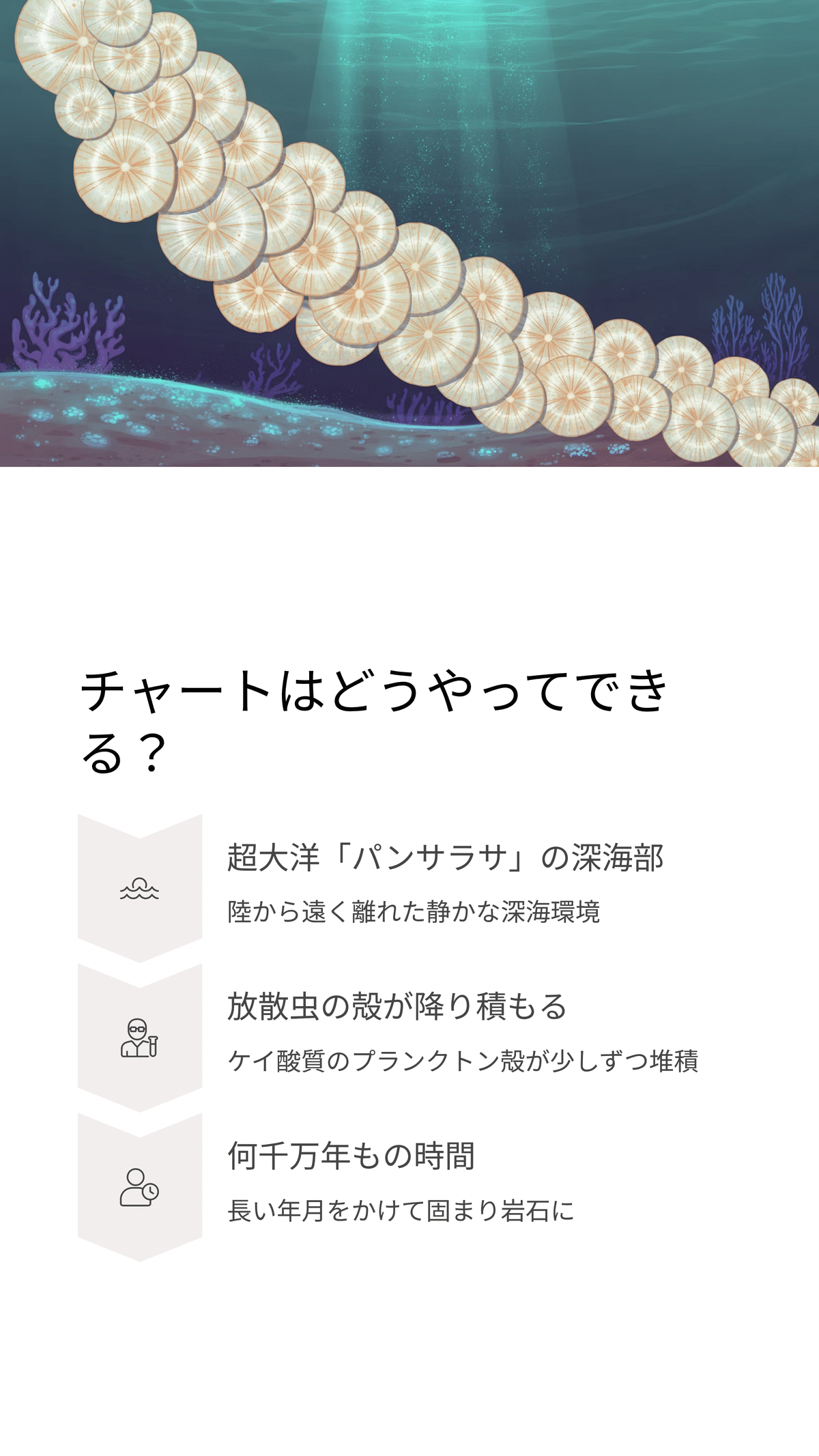 日本の地質を形づくる「チャート」とは？深海に眠る地球の記録｜松尾靖隆