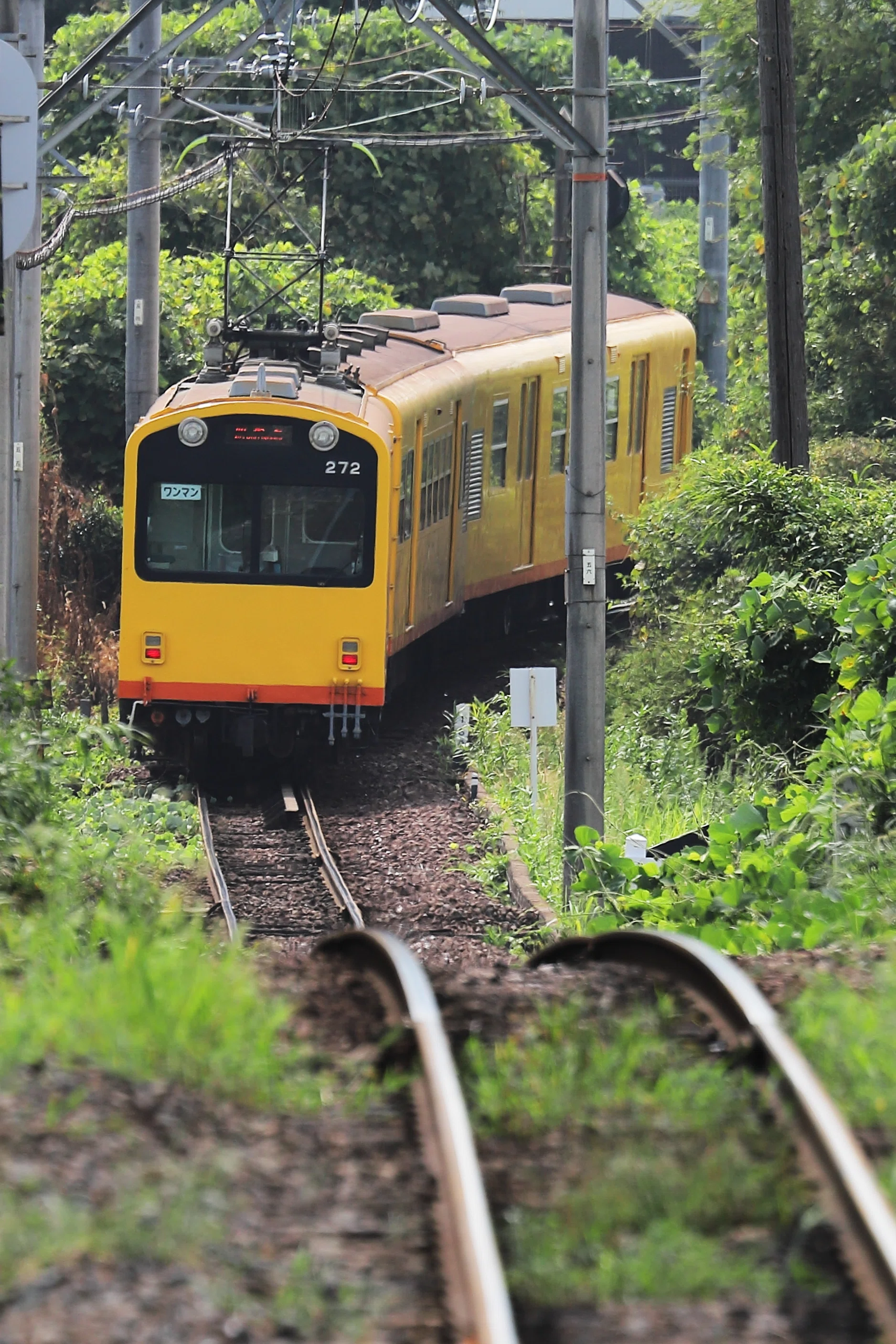 Nナロー三岐北勢線K77編成 ヘッド＆テール点灯、室内灯付き 2025.8.29 三岐鉄道北勢線 ナローゲージの小さな旅｜京キト