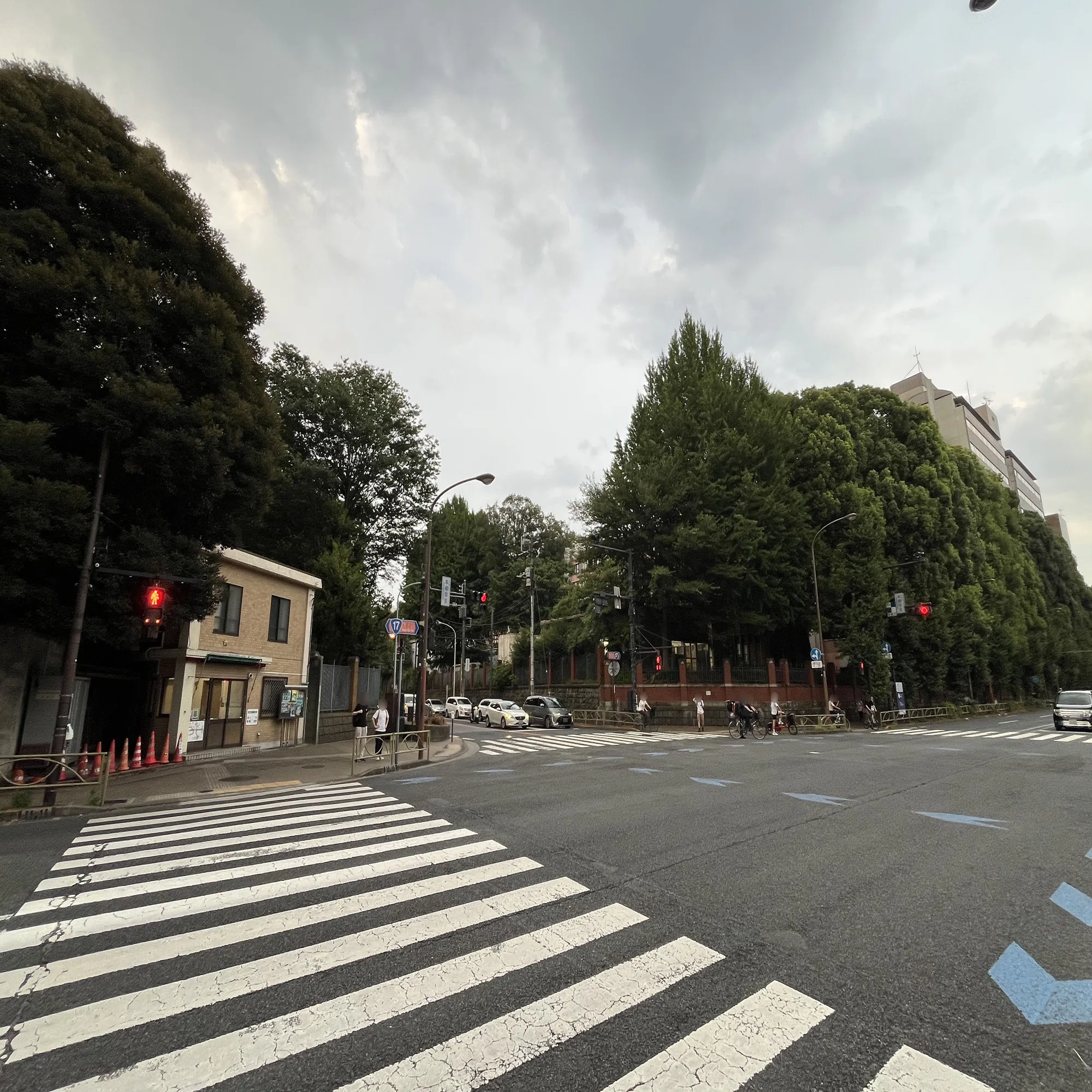 言 問 通り