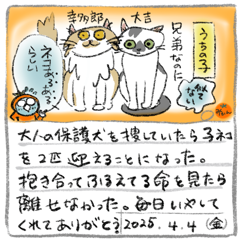 me❁⃘ プロフィールを読んでください❁ページ NTT西日本】SmartNetcommunity αZX Home（情報機器） - 法人・企業向け