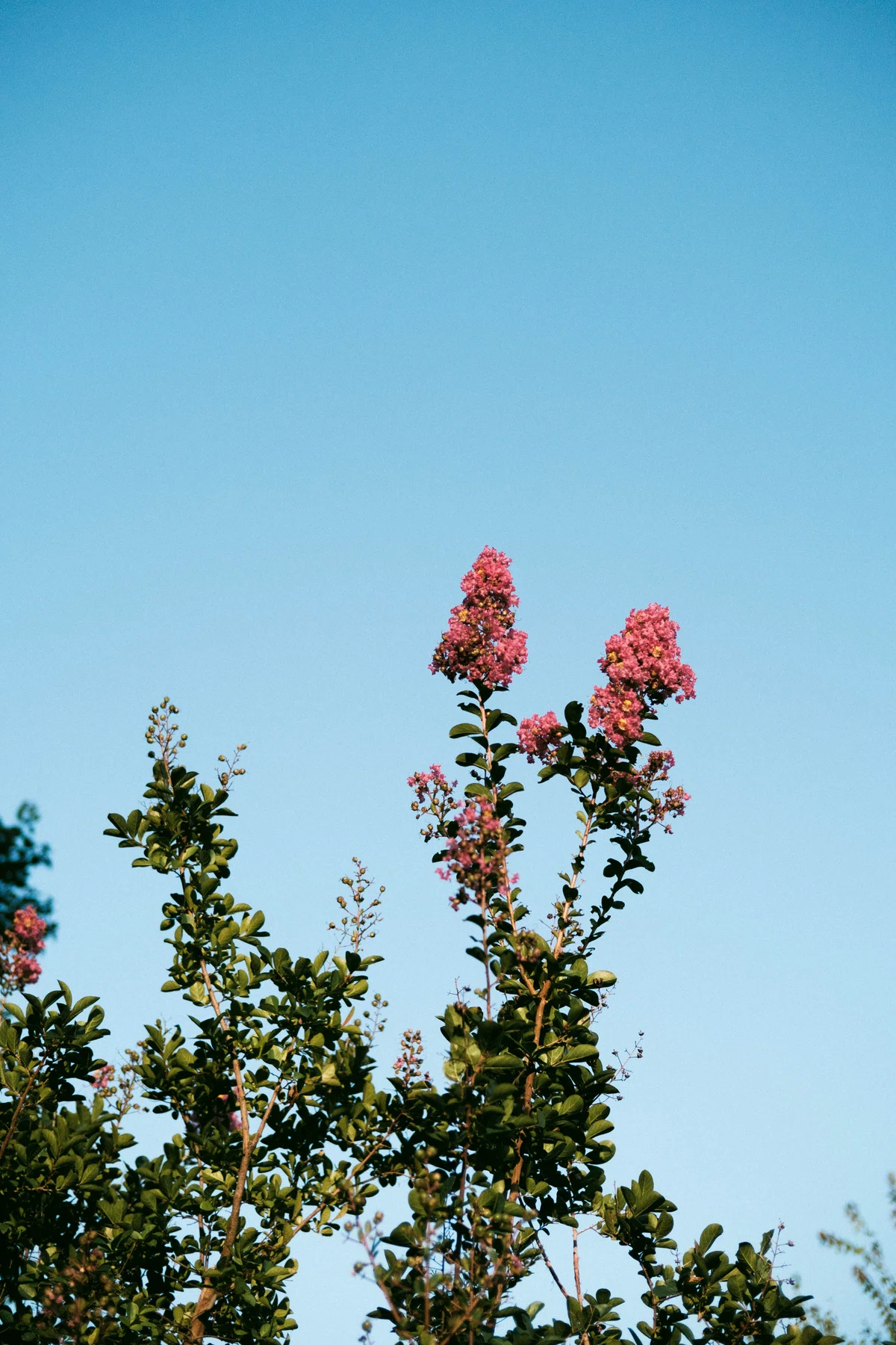One Roll｜sgk