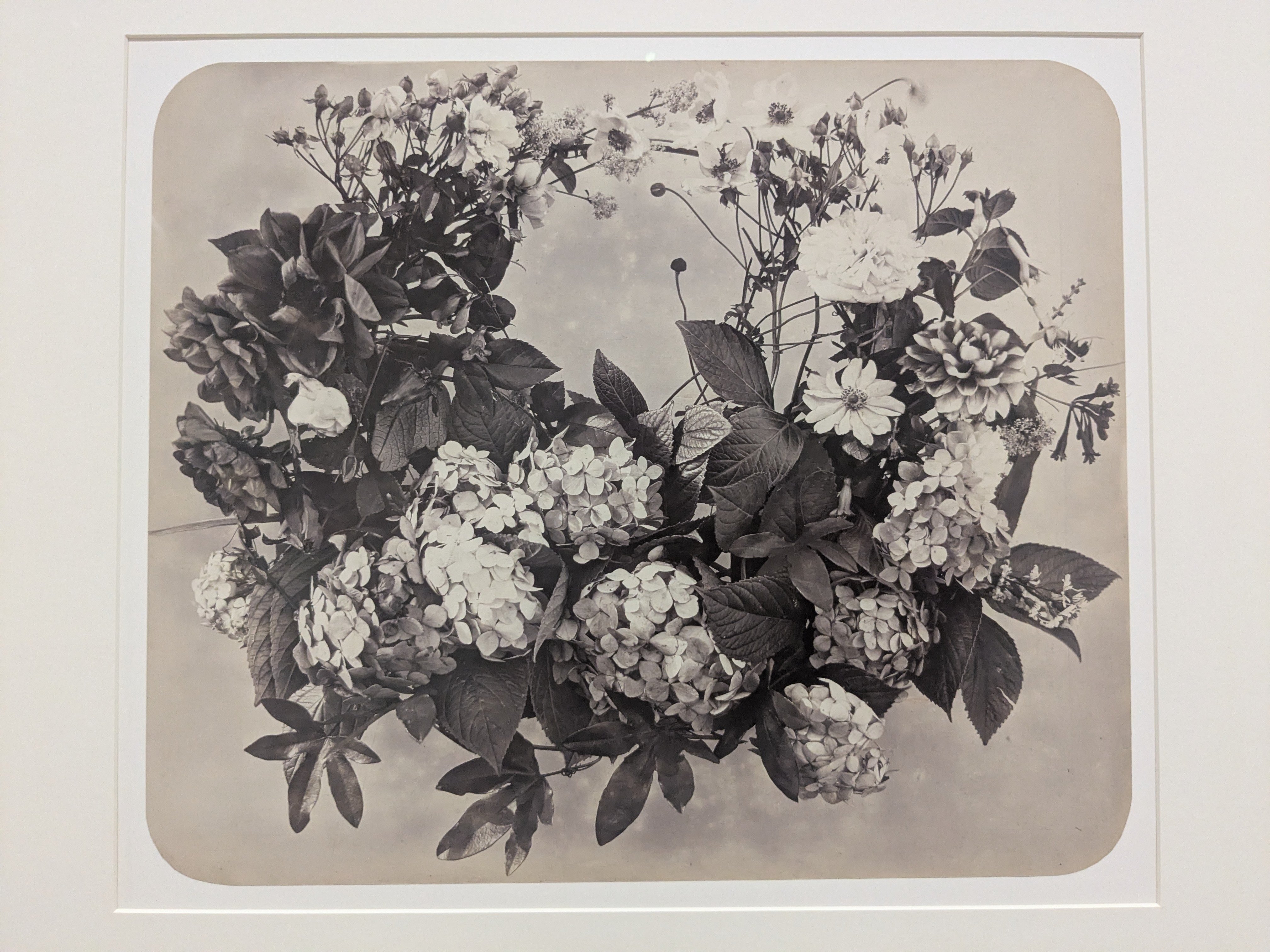 東京都写真美術館：TOPコレクション『トランスフィジカル』｜Makoto Okada