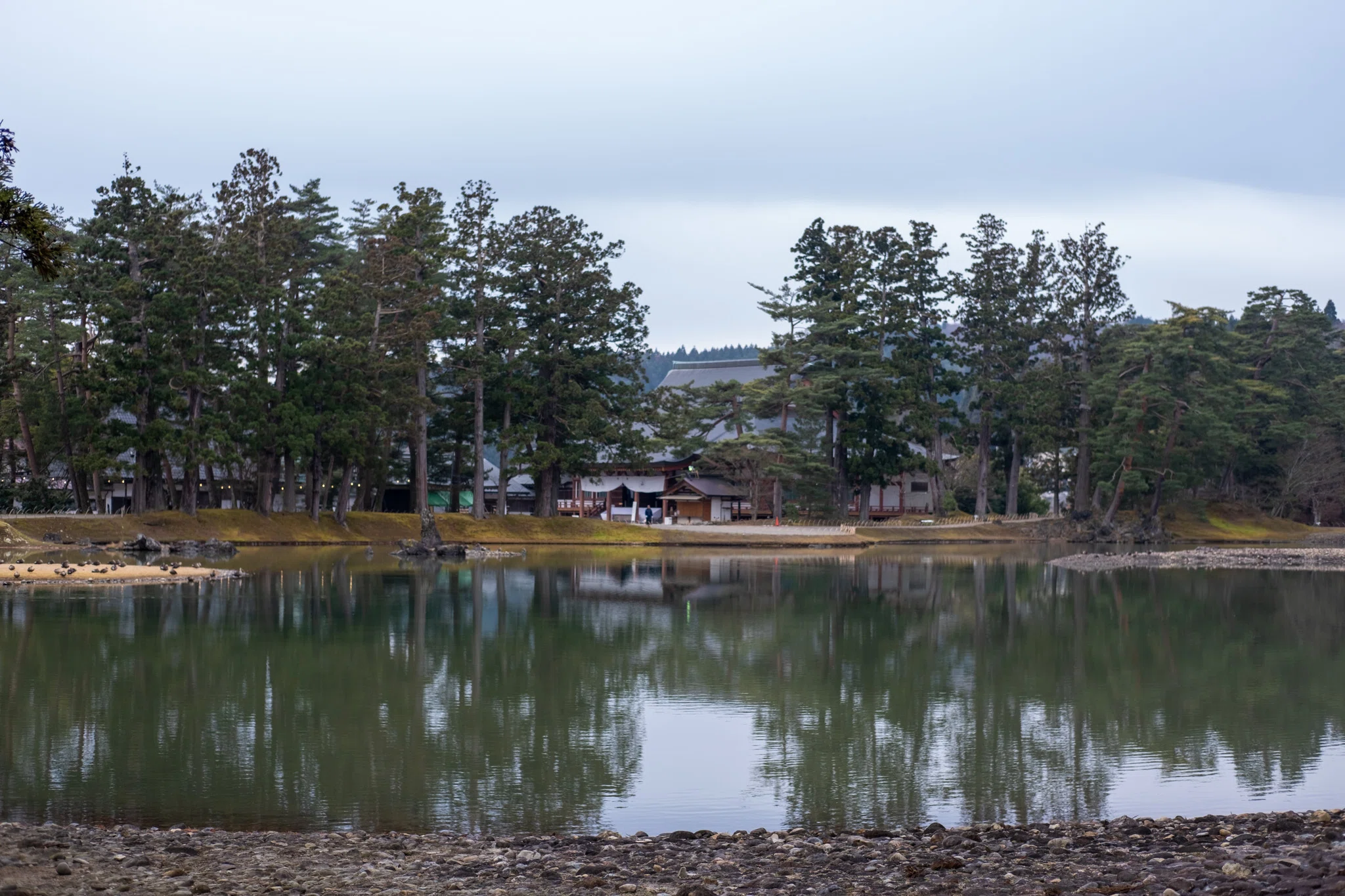 いまさら】#22 おそらく写真で感動が伝わらない場所第1位〜毛越寺〜｜Shima
