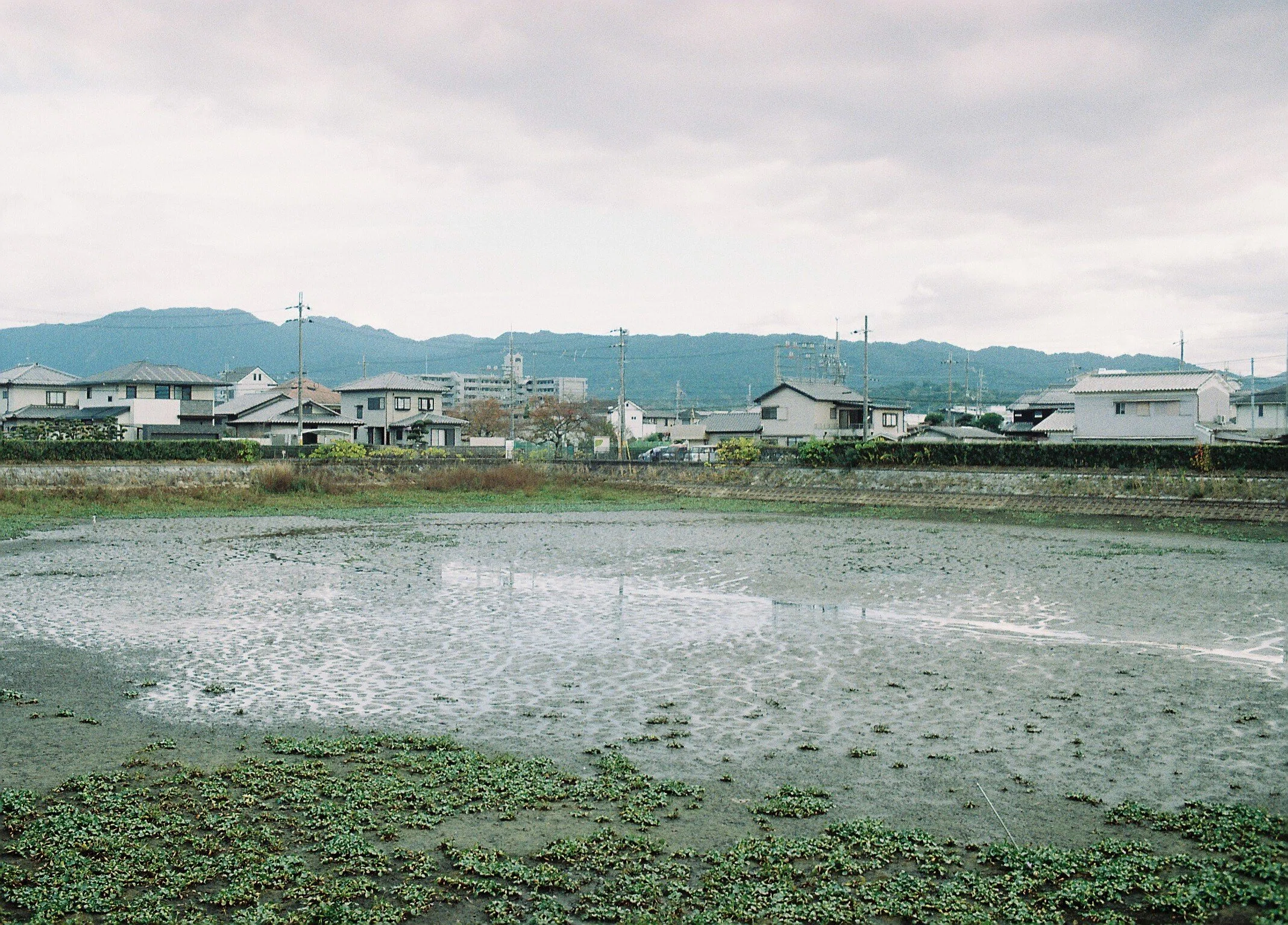 FUJICA AZ-1とFUJICOLOR 100の37枚｜夢望庵 / Mubou-an