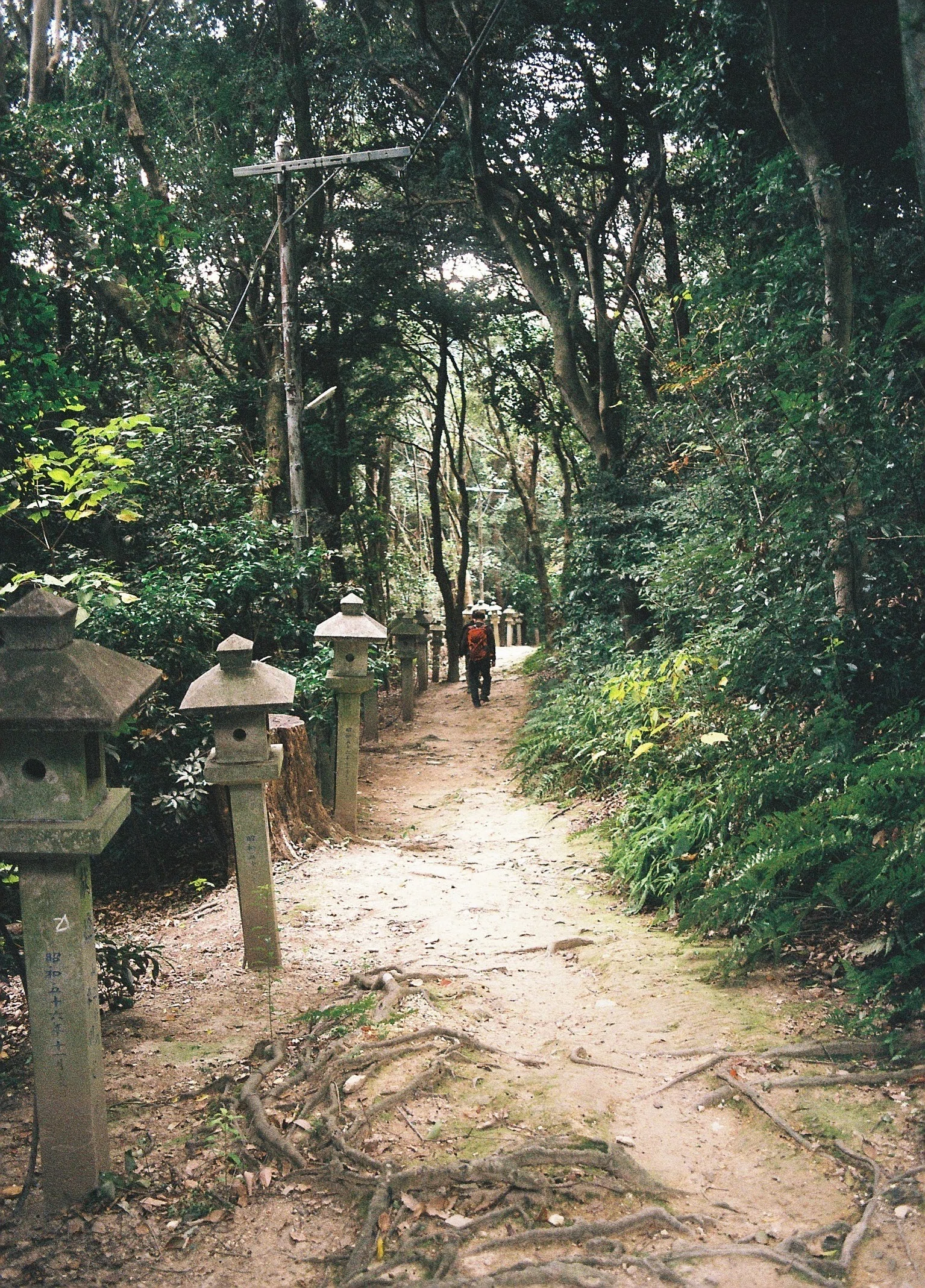 FUJICA AZ-1とFUJICOLOR 100の37枚｜夢望庵 / Mubou-an