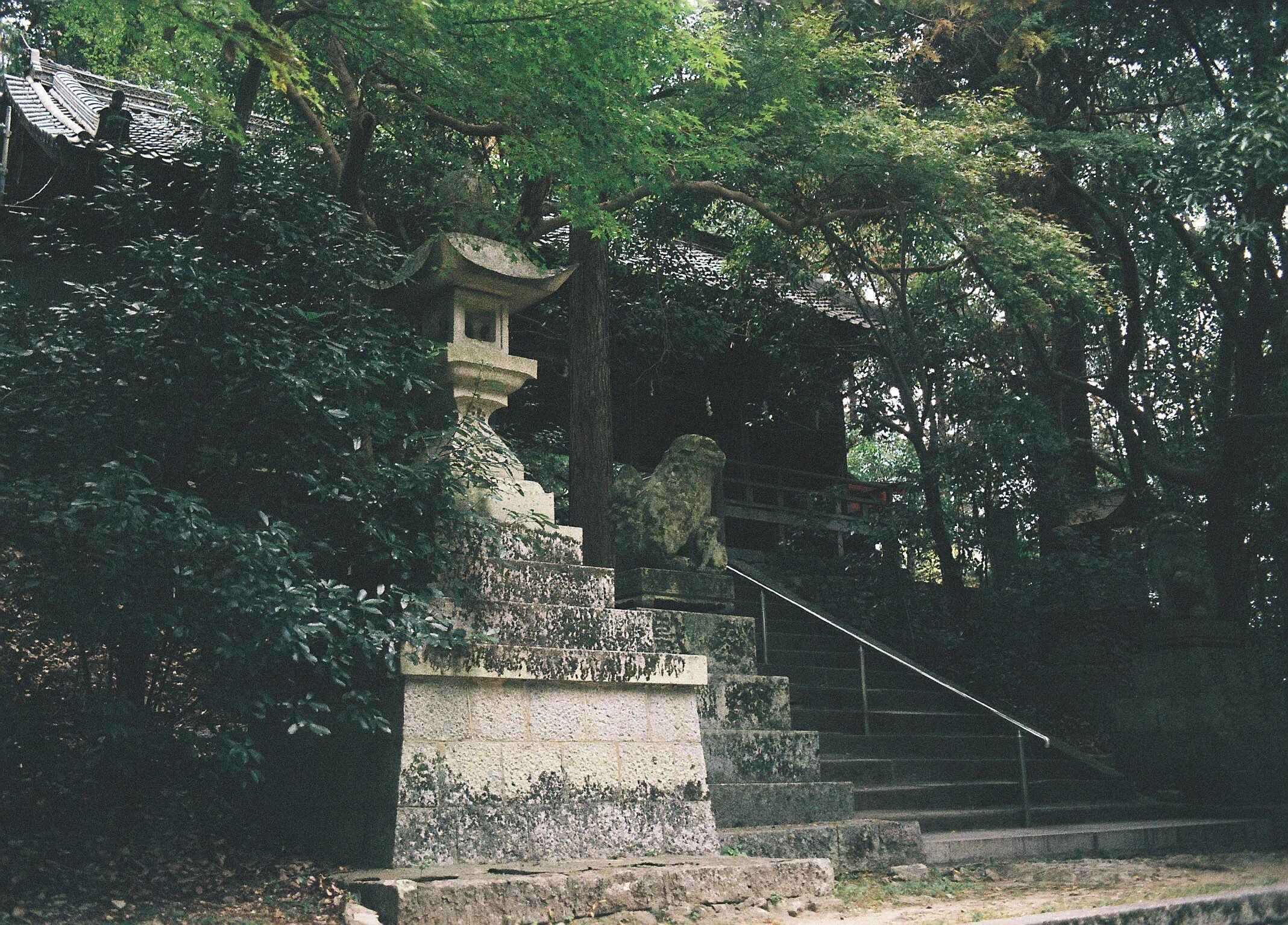 FUJICA AZ-1とFUJICOLOR 100の37枚｜夢望庵 / Mubou-an