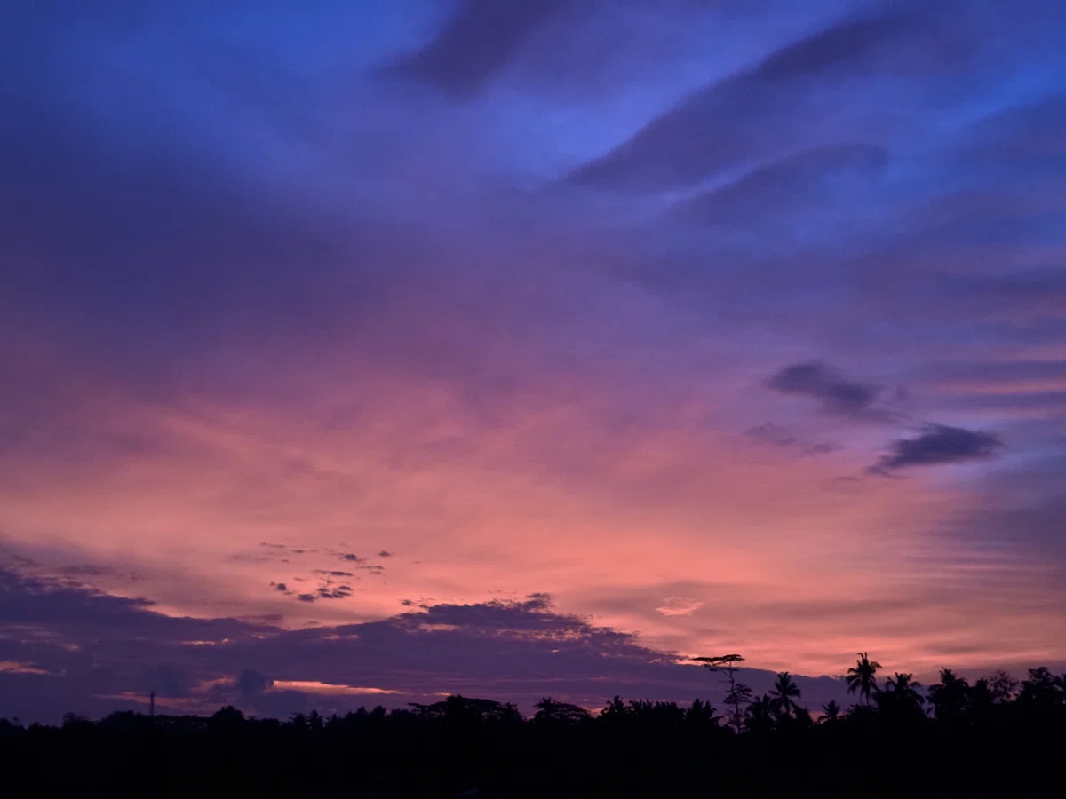 近くでこんな夕陽を見ることができました。