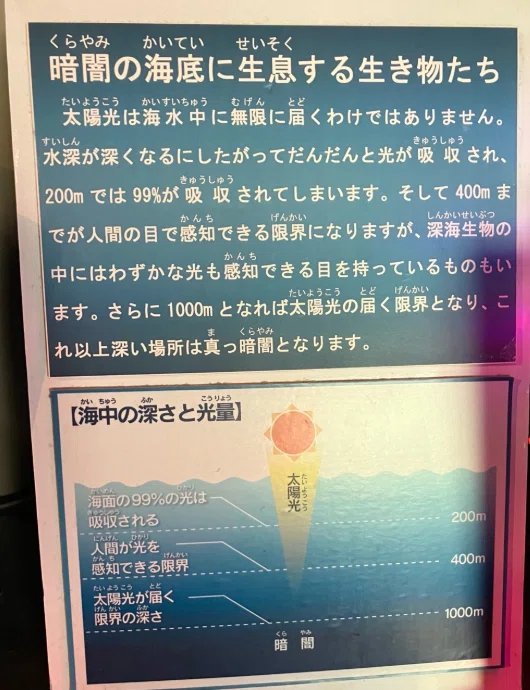 男鹿水族館GAOで「暗闇の海」を学ぶ — 家族で遊んで学んだ一日｜カワヤス