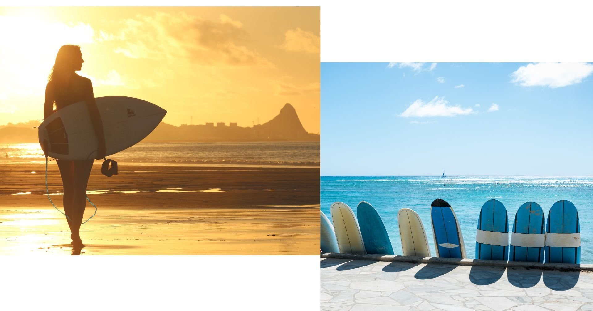 ワイキキ・ウォール ボディーボード日記「Hawaii Board Shop Waikiki