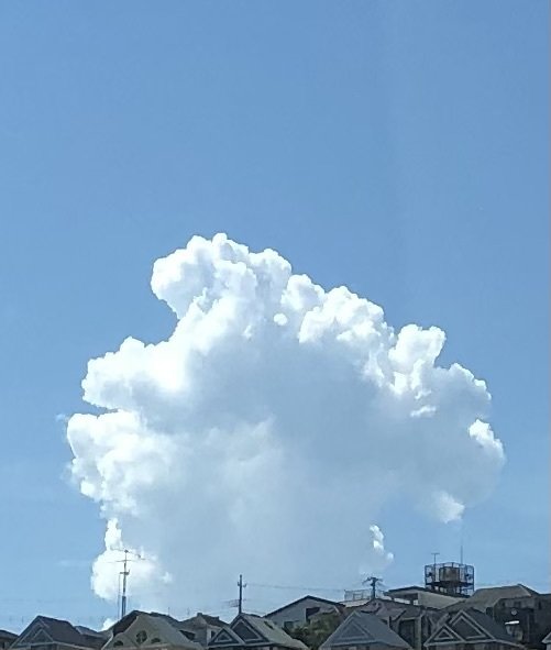 夏の終わりに 夏の雲｜studio summit