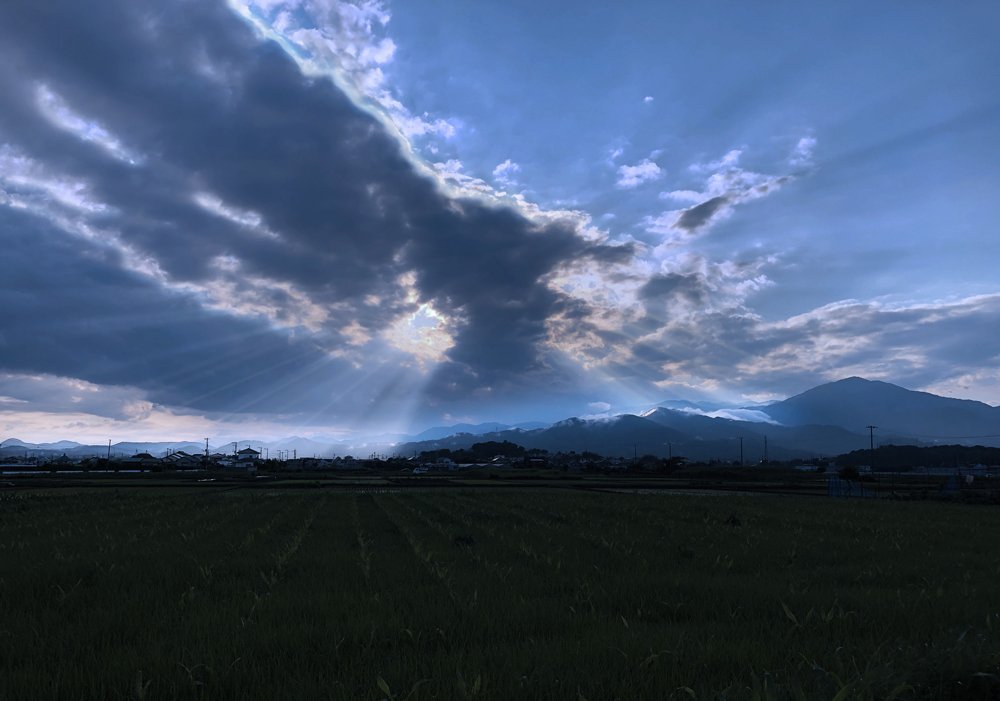 夏の終わりに 夏の雲｜studio summit