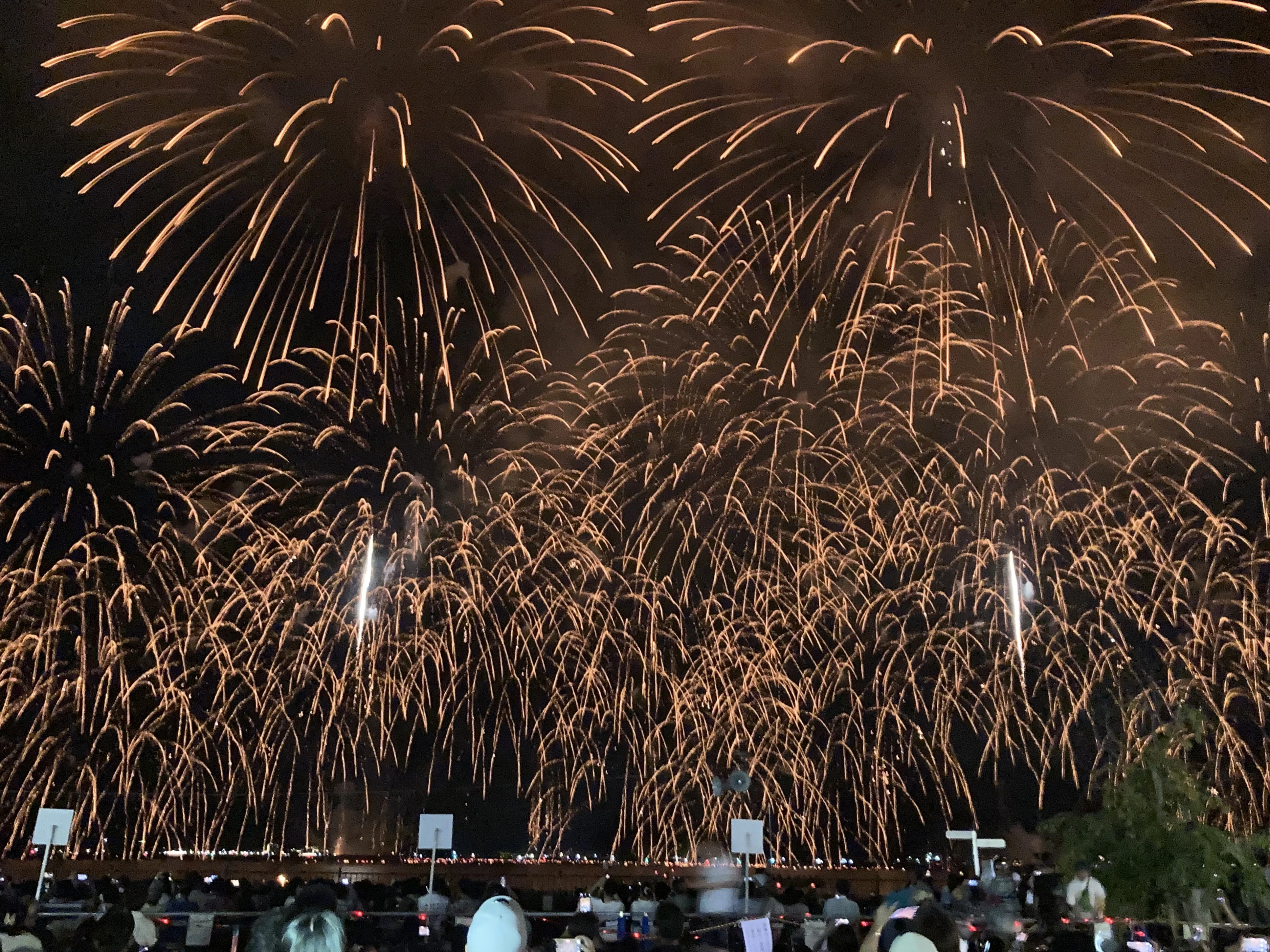 燈籠と花火に込めた、宮津の想い～地域の心が、夏の夜を彩る～ 