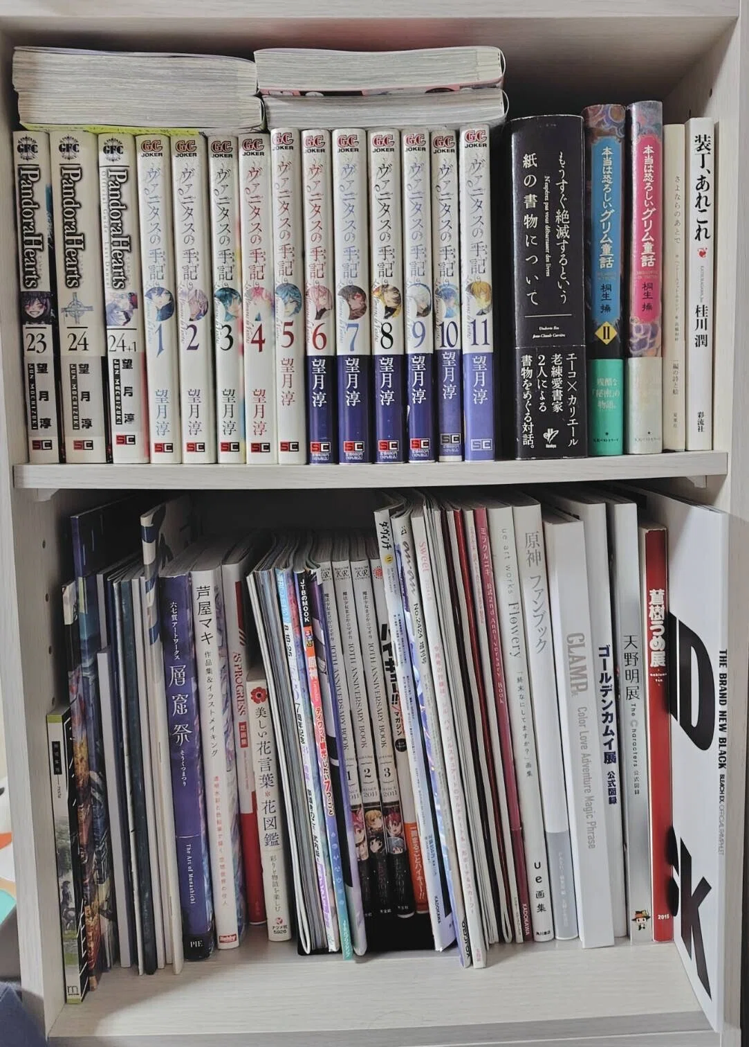 マス研員の本棚vol.12】厳選図書館＆漫画喫茶！ 正反対な凸凹本棚