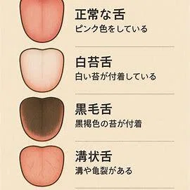 舌の色・形・苔で何がわかる?舌診断で読み解く体調変化|カワウソス