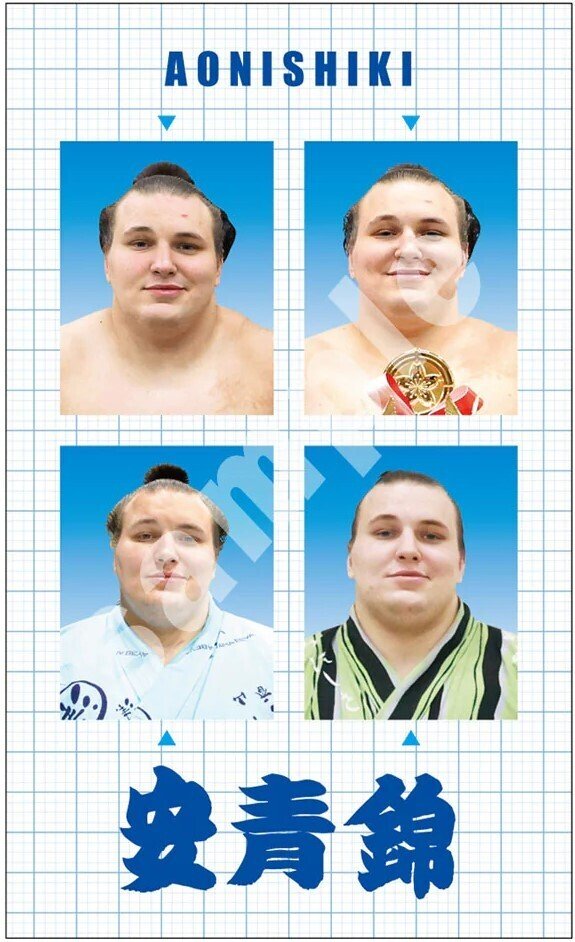 大相撲 大の里 力色紙 大相撲クレーン 証明写真風ステッカー