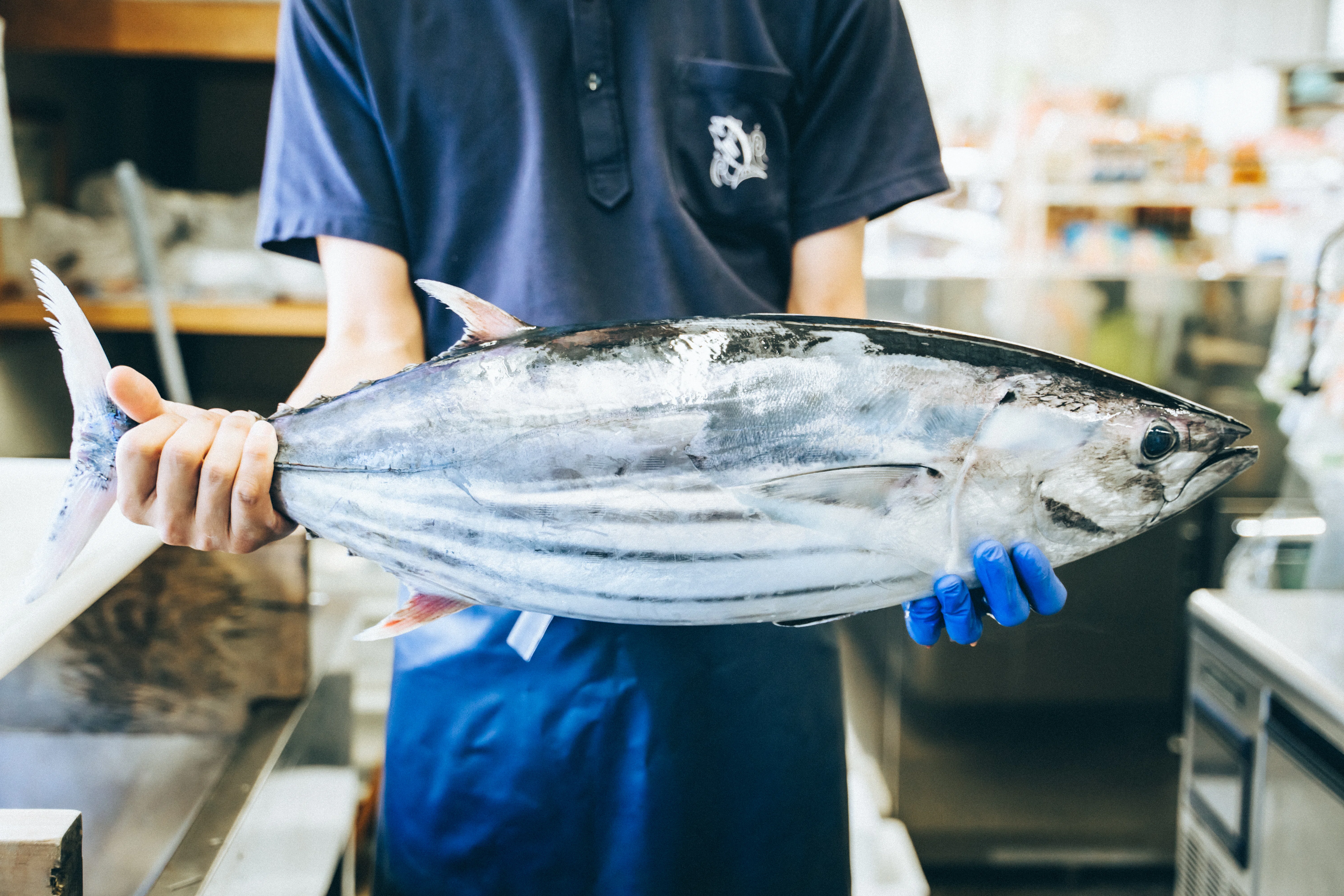 四万十町のカツオなら藤原鮮魚店！100年続く老舗が守る伝統の味