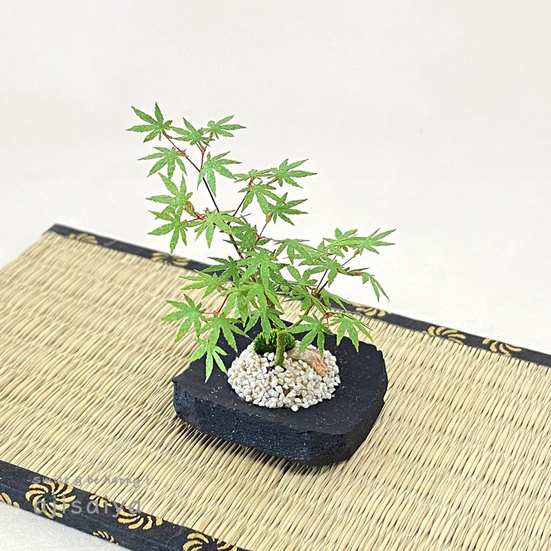 ミニ盆栽台　一刀彫　匠 匠シリーズ」販売開始いたしました｜あじさいや 〜ちいさな庭園