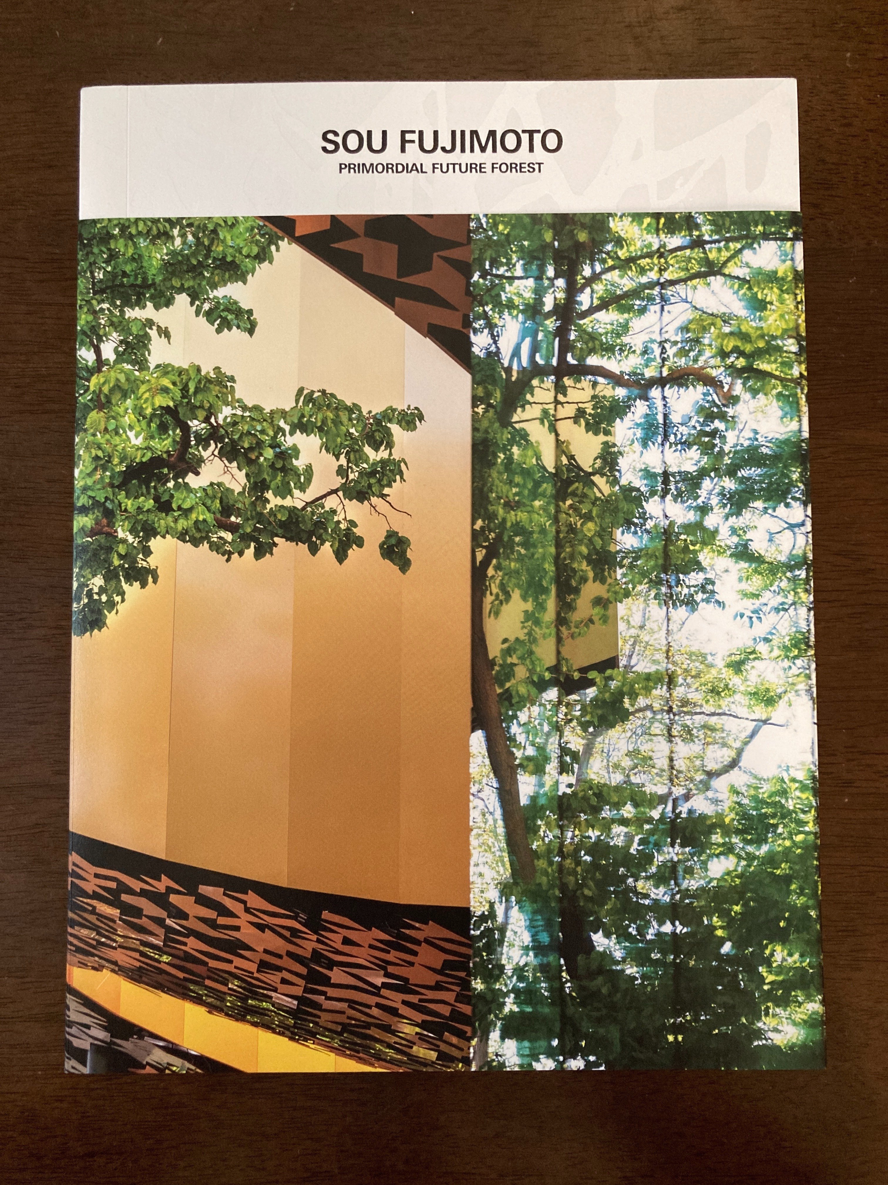 藤本壮介の建築：原初・未来・森」を何度か見て｜森美術館｜建築展｜a.n
