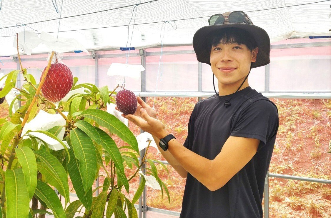 横浜マンゴーで挑む、新しい地域貢献のかたち 旭区下川井「横浜ワタヤ