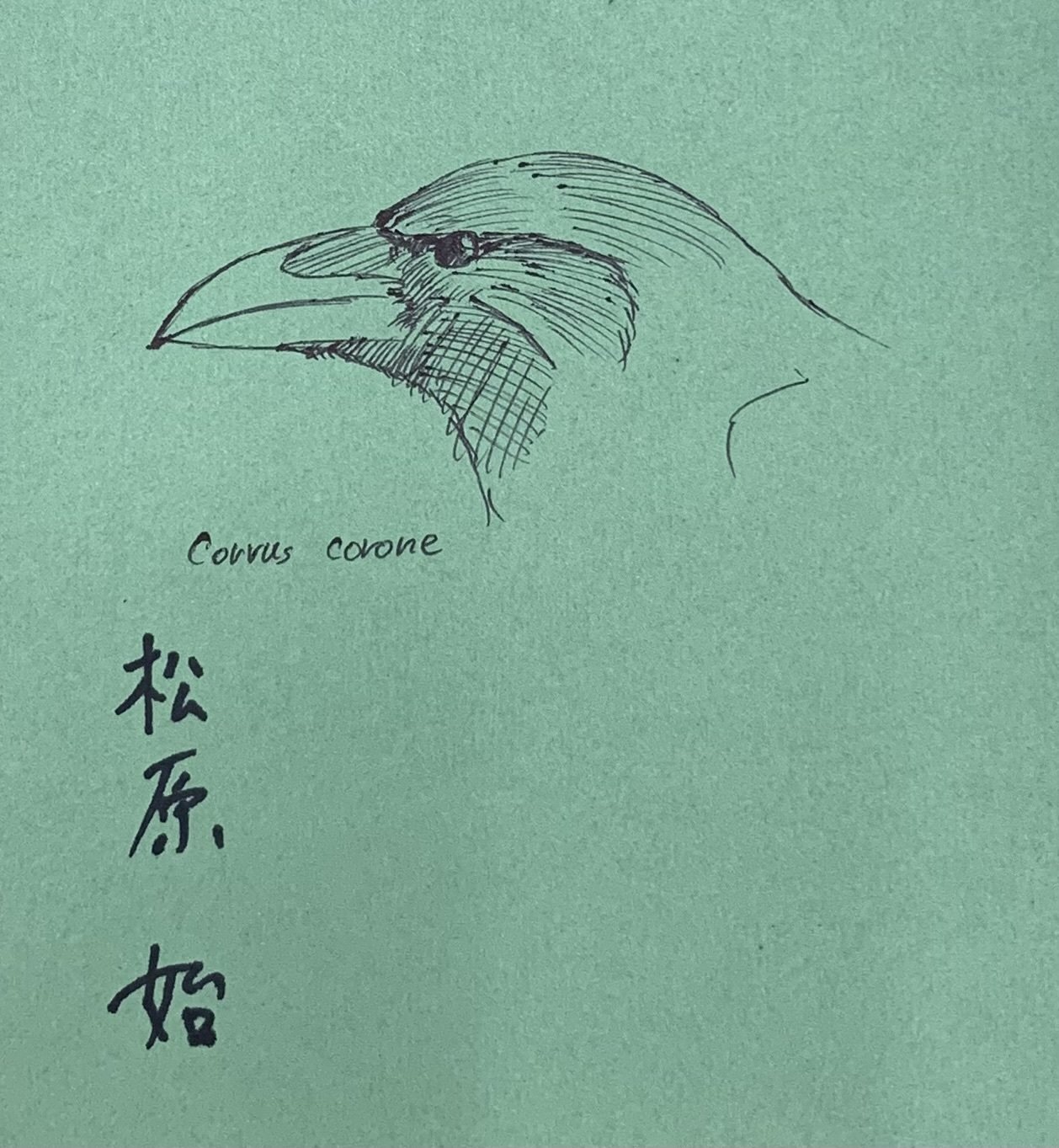 カラス博士の直筆イラスト入り！スペシャルなサイン本を5名様に