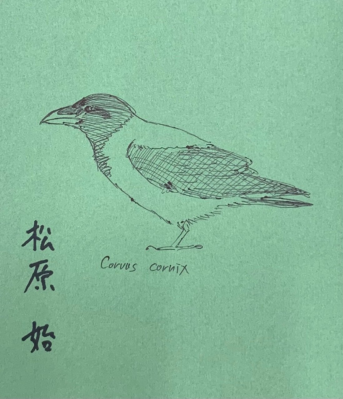 カラス博士の直筆イラスト入り！スペシャルなサイン本を5名様に