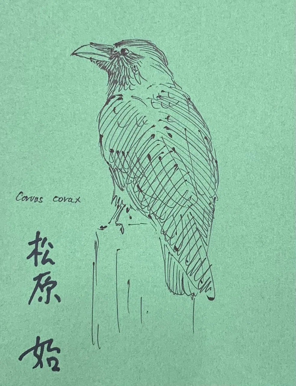 カラス博士の直筆イラスト入り！スペシャルなサイン本を5名様に