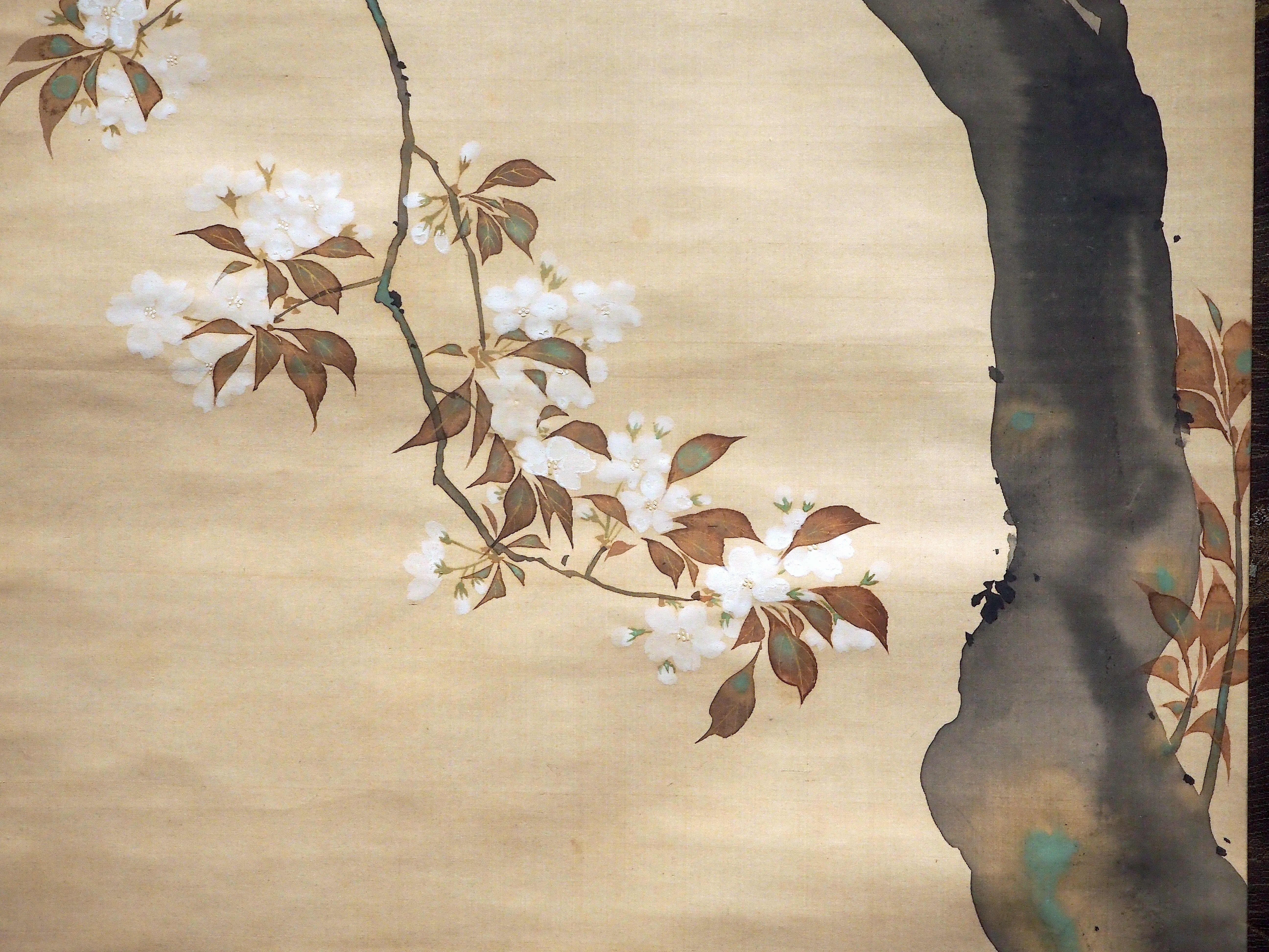 東京国立博物館、琳派を江戸で広めた酒井抱一の名作を展示！……という