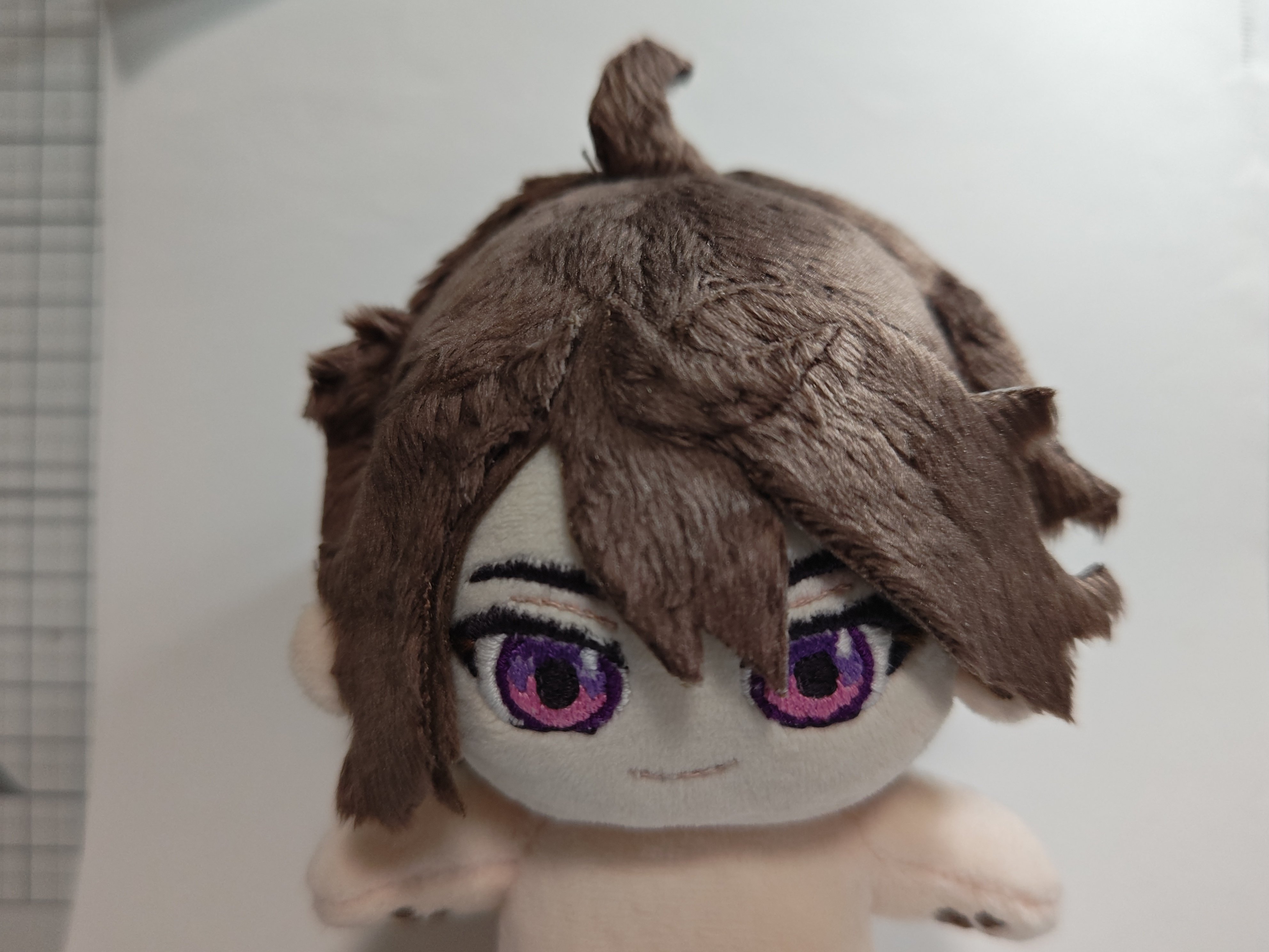 自作ぬい～ネイムデー🦝～｜みっきち