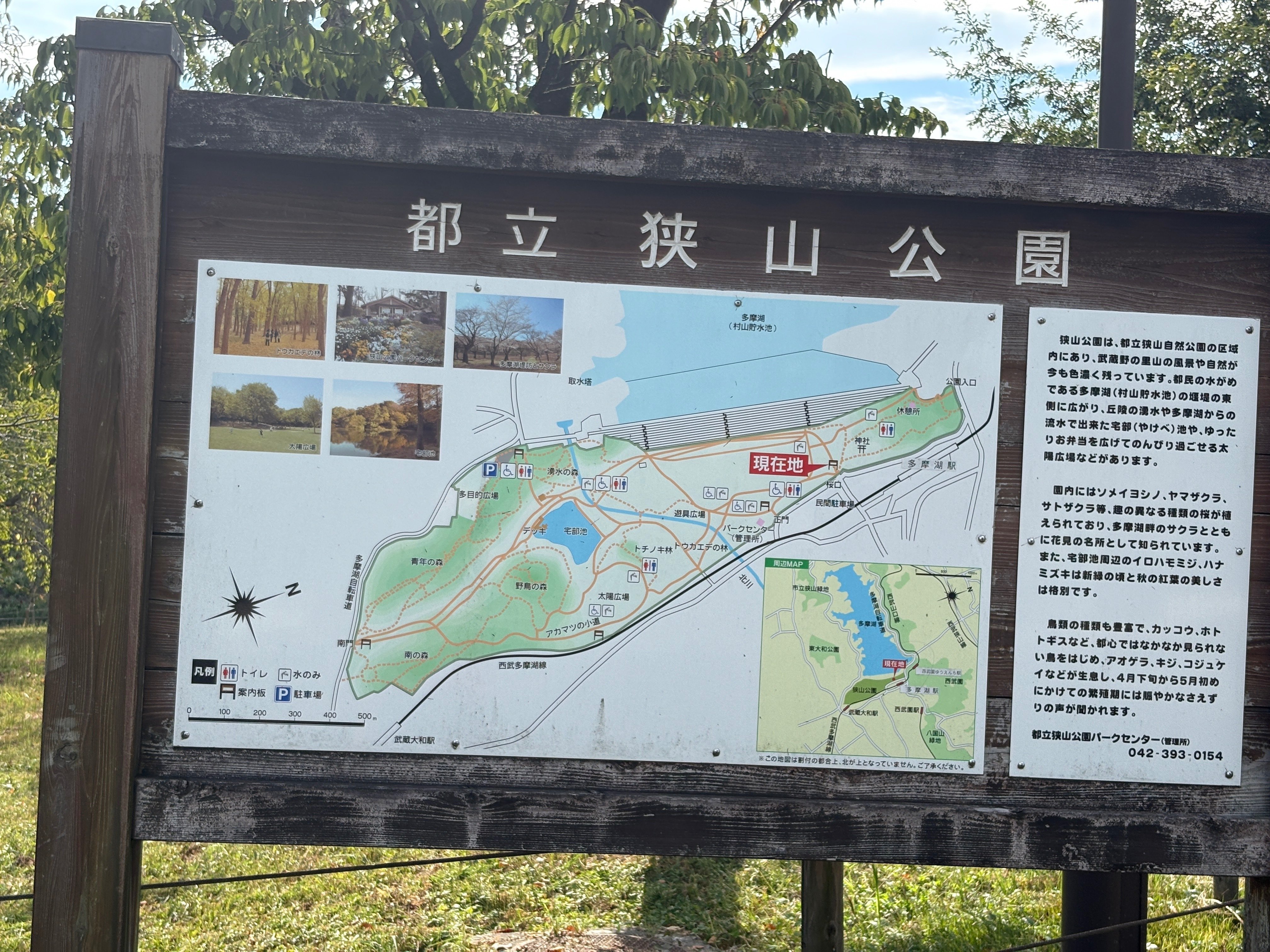 多摩湖（村山貯水池）｜かんばら kanbara