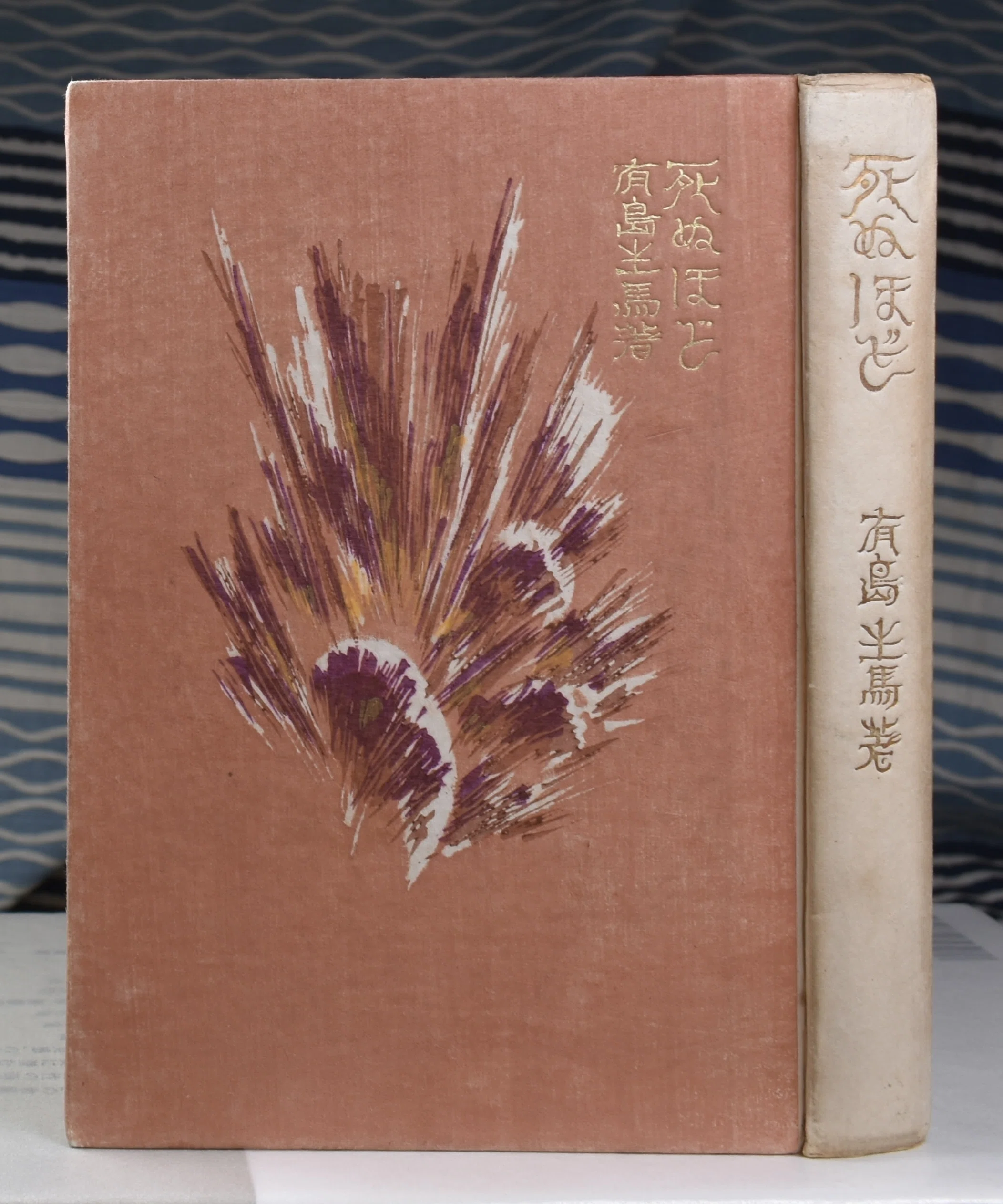竹久夢二　舞子 500/144シリアルナンバー入り　本土のみの方 ひとつ眼〉イメージについて：竹久夢二『山へよする』研究⑪｜表現急行の人