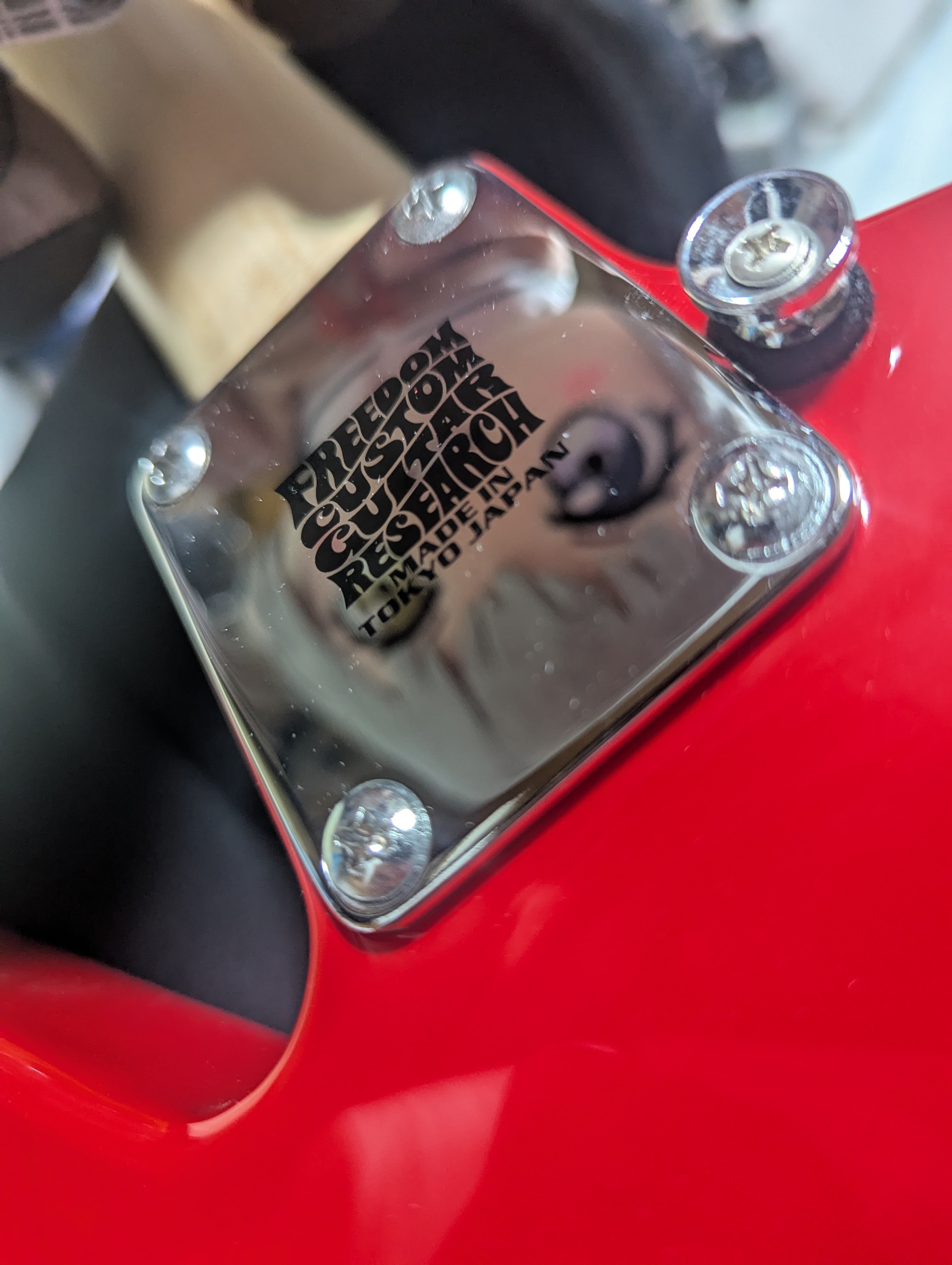 小さなランダムスターと、暮らしの中のギター｜かれら