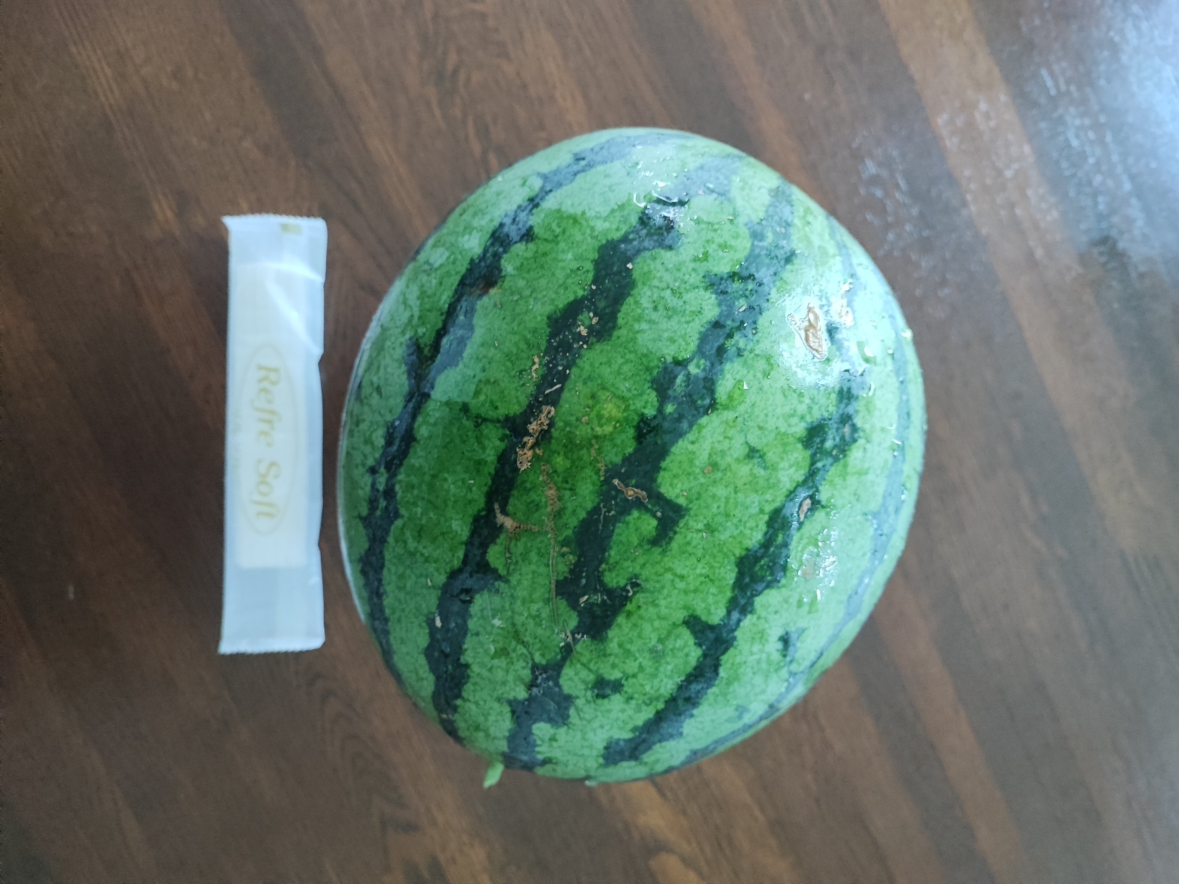 スイカです♪ 動く×可愛いが大集合！40種類のスイカゲーム®LINEアニメーション絵文字