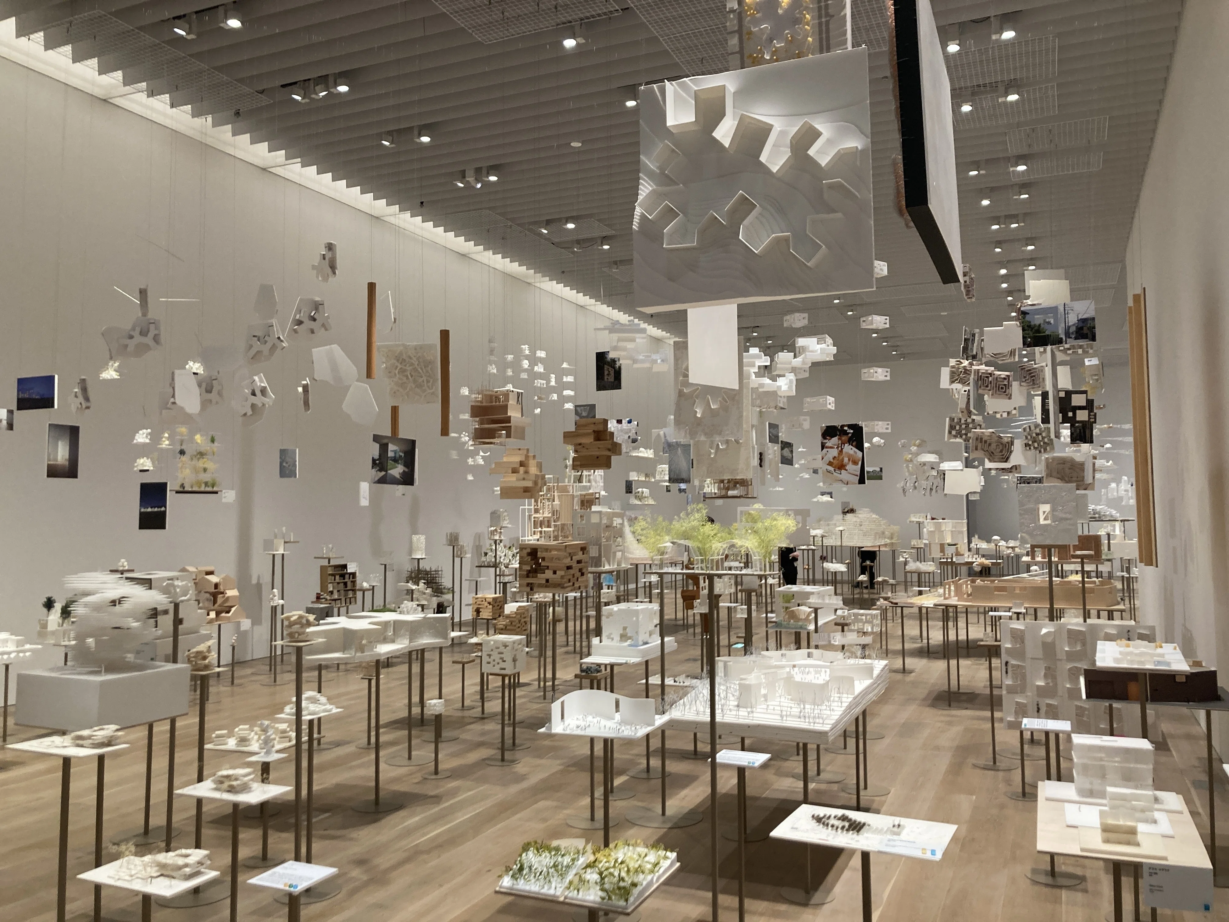 藤本壮介の建築：原初・未来・森」を何度か見て｜森美術館｜2025年建築