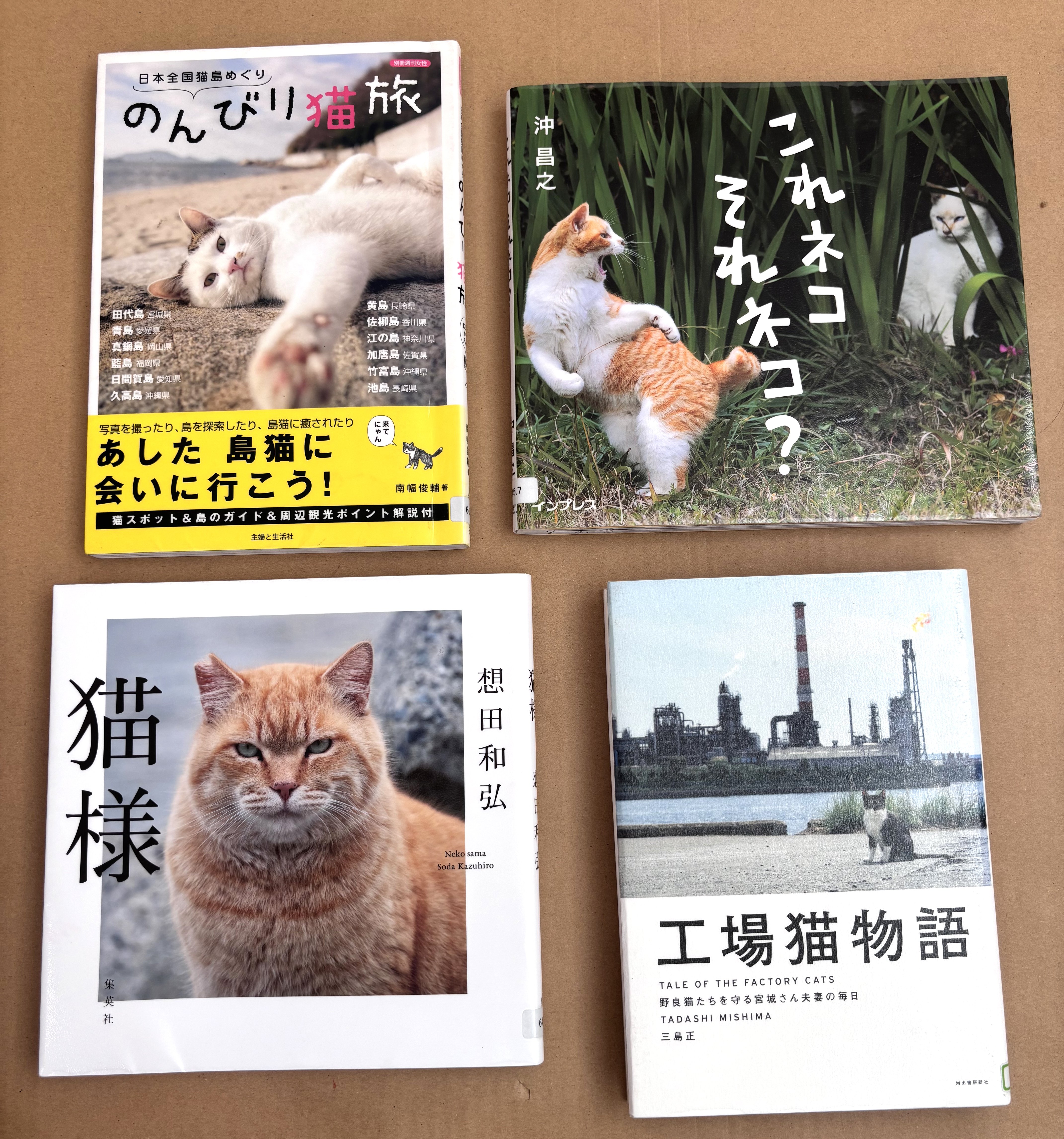 猫　木彫　「旅人」猫は時として旅をする 木彫り猫 86 | Forest cat