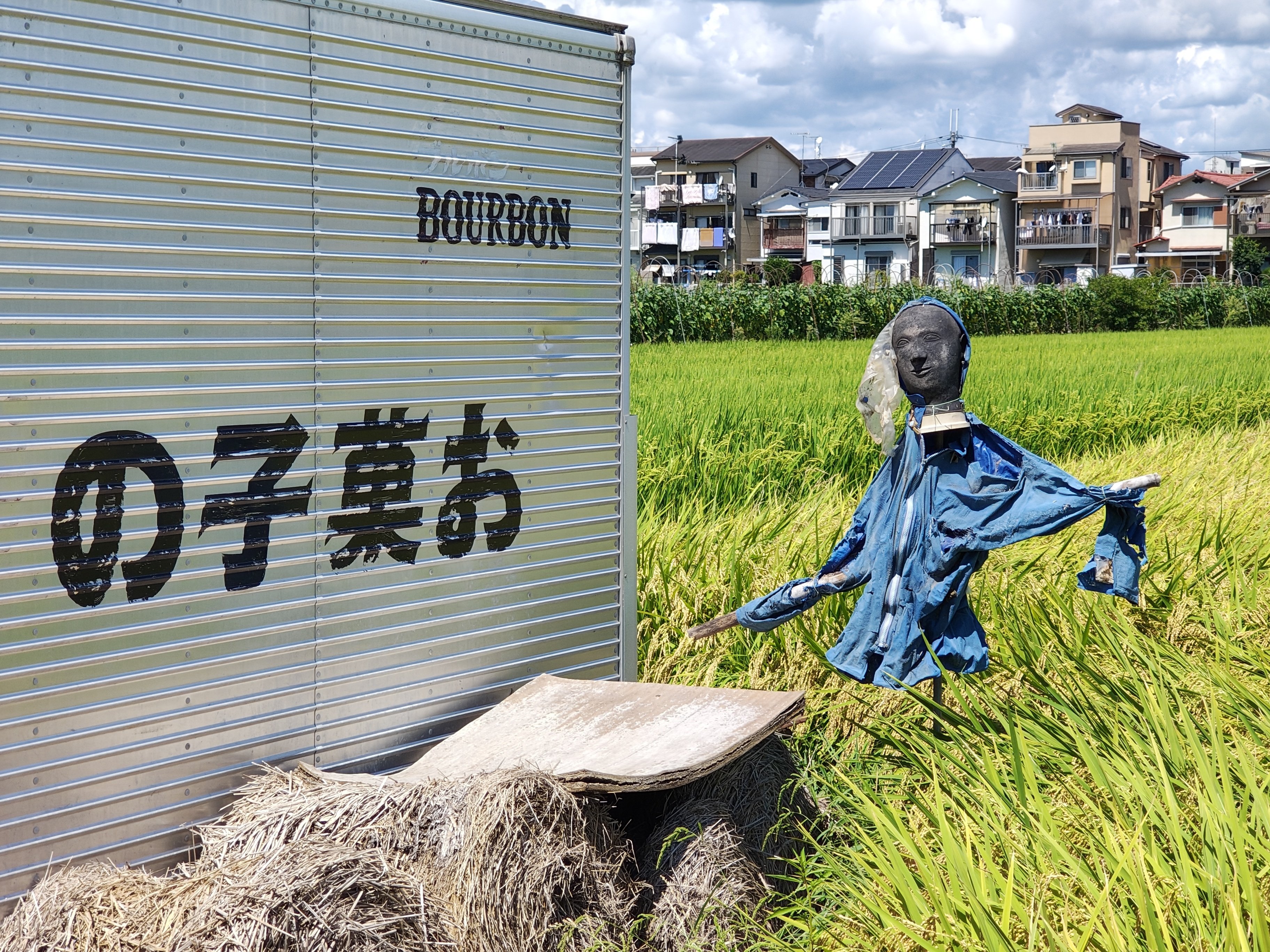 新しいスマホの写真をこれが「今の写真」だなと思い直す｜いちろく📷️