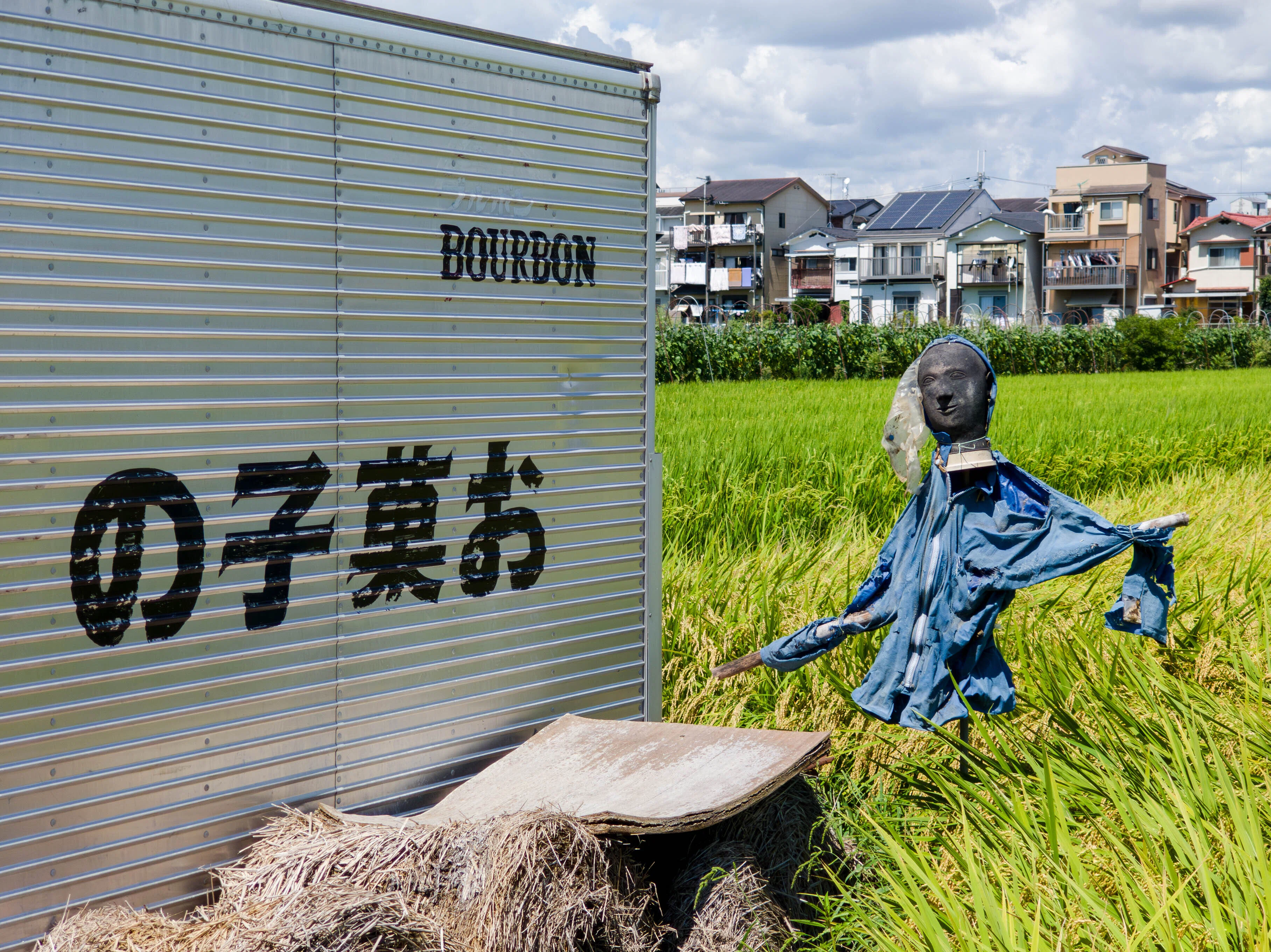新しいスマホの写真をこれが「今の写真」だなと思い直す｜いちろく📷️