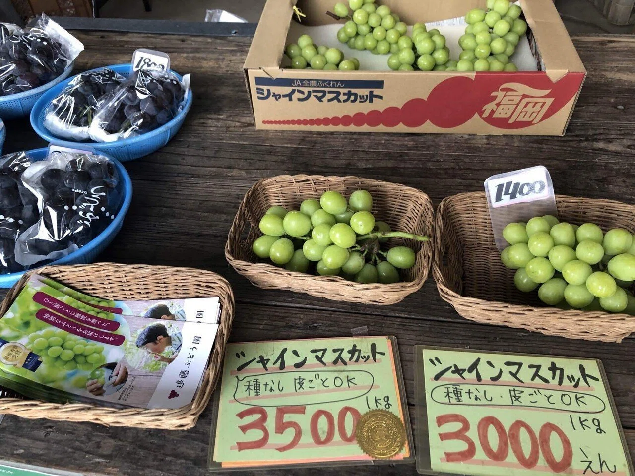 移住体験記】大阪の元サラリーマンが嘉麻市でブドウ園を経営している話